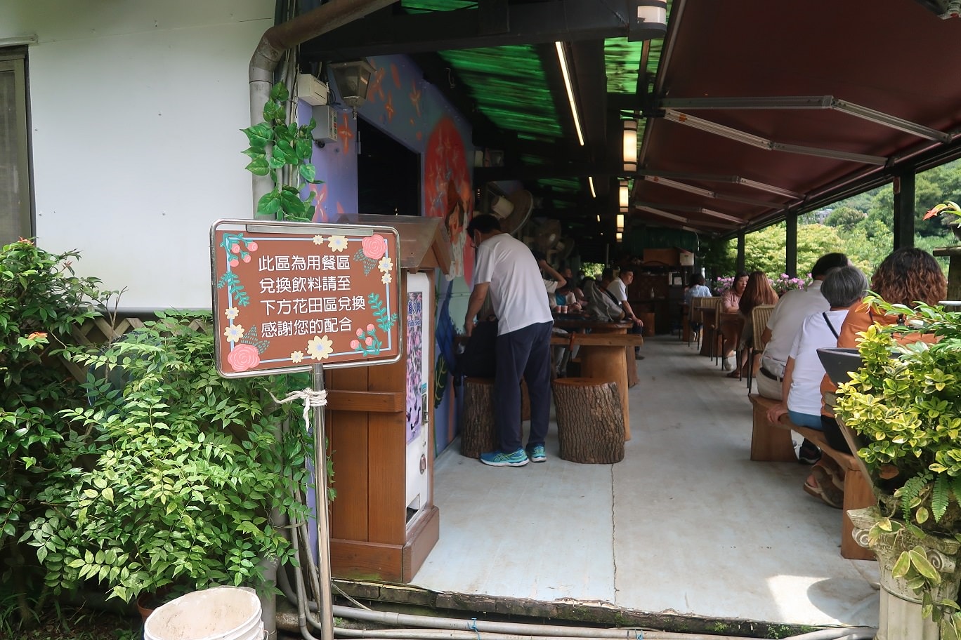 台北賞花┃陽明山竹子湖繡球花「大梯田」每年6月繽紛回憶 捷運石牌站轉小8公車 竹子湖下車