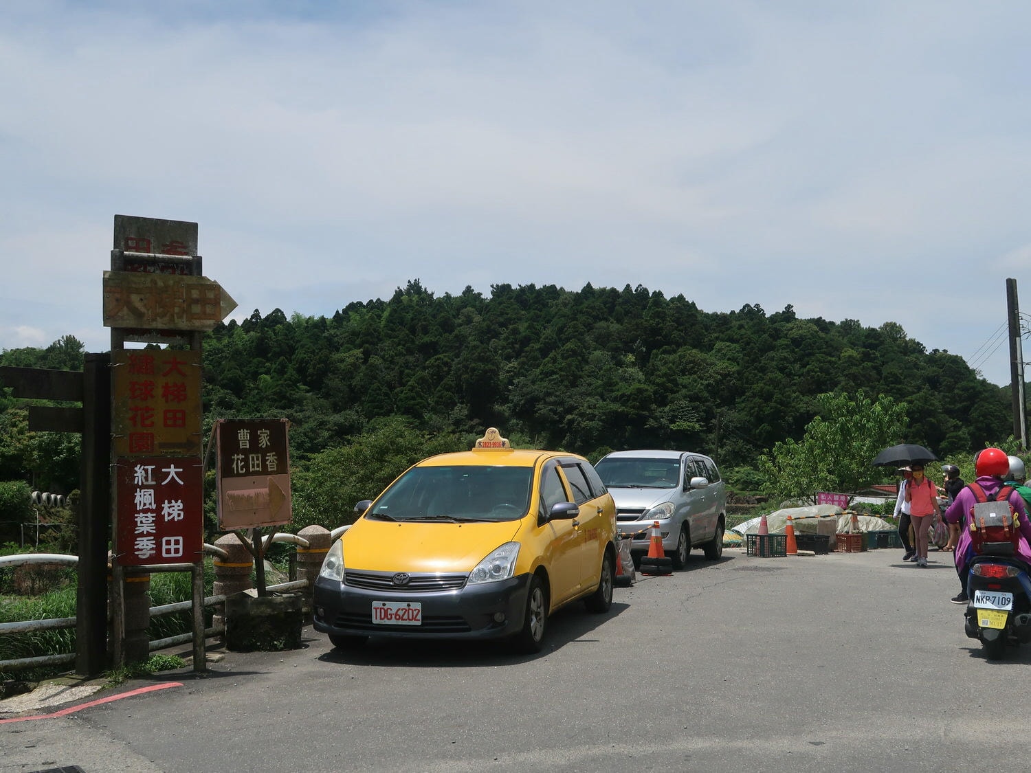 台北賞花┃陽明山竹子湖繡球花「大梯田」每年6月繽紛回憶 捷運石牌站轉小8公車 竹子湖下車