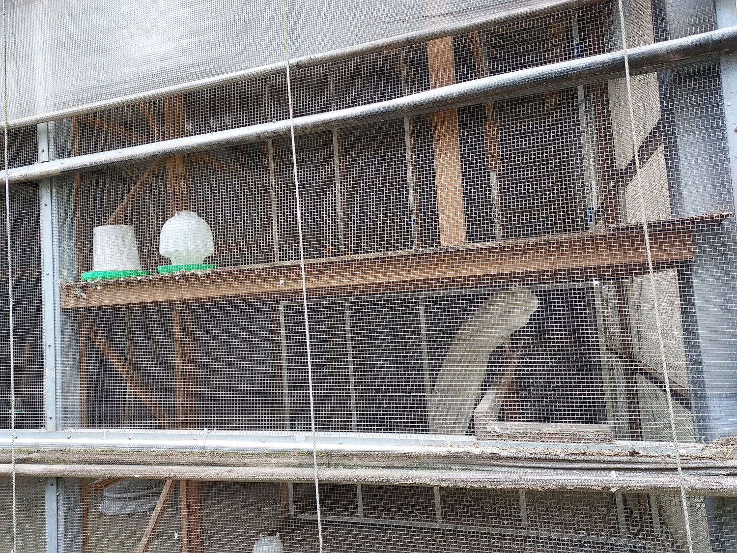 苗栗南庄三灣┃一日行程 秘境300棵 三灣落羽松免門票 順遊南庄蘇維拉莊園超長溜滑梯 吃客家菜