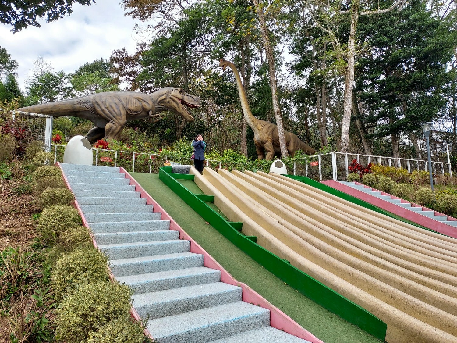 苗栗南庄三灣┃一日行程 秘境300棵 三灣落羽松免門票 順遊南庄蘇維拉莊園超長溜滑梯 吃客家菜