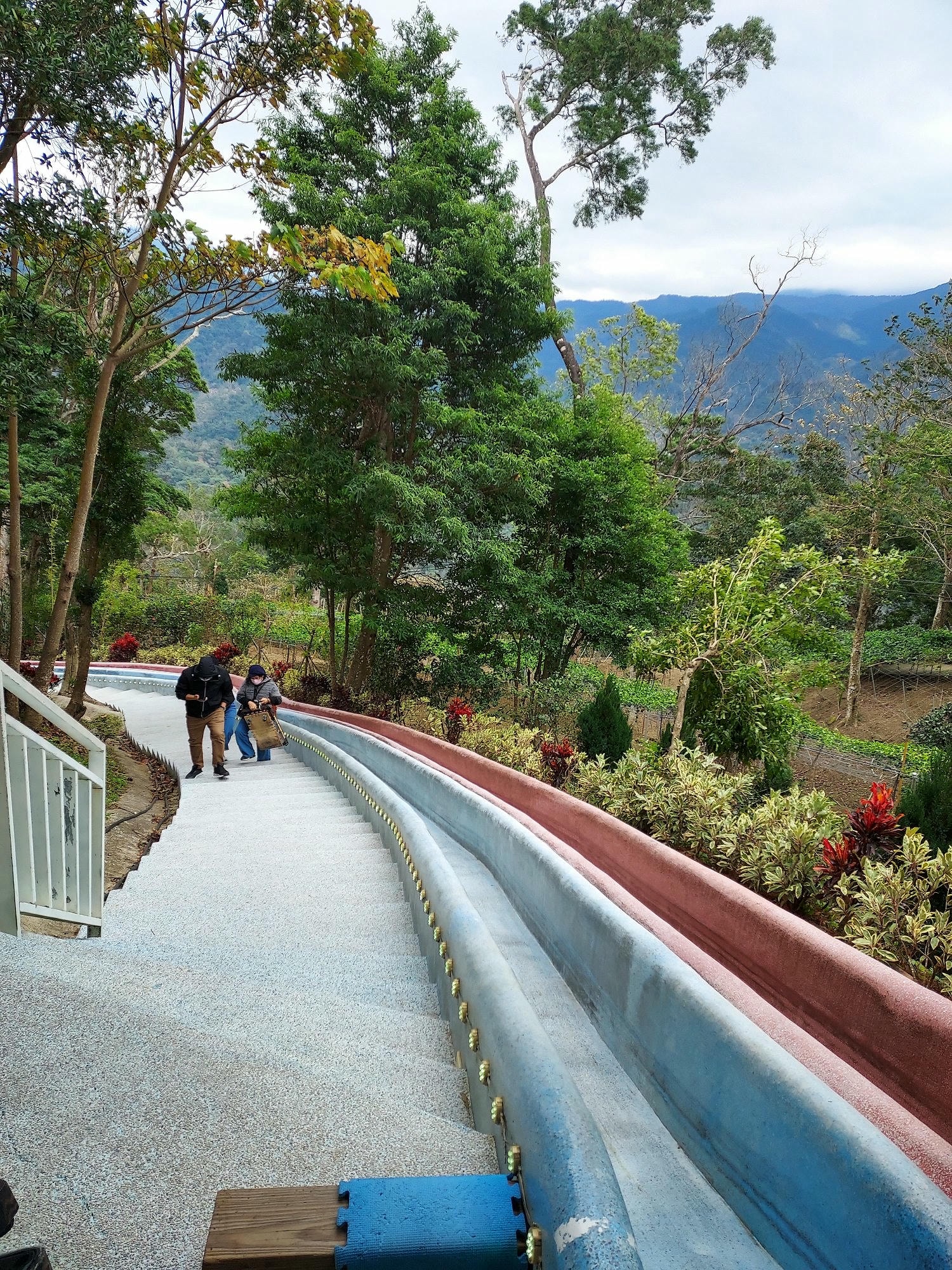 苗栗南庄三灣┃一日行程 秘境300棵 三灣落羽松免門票 順遊南庄蘇維拉莊園超長溜滑梯 吃客家菜