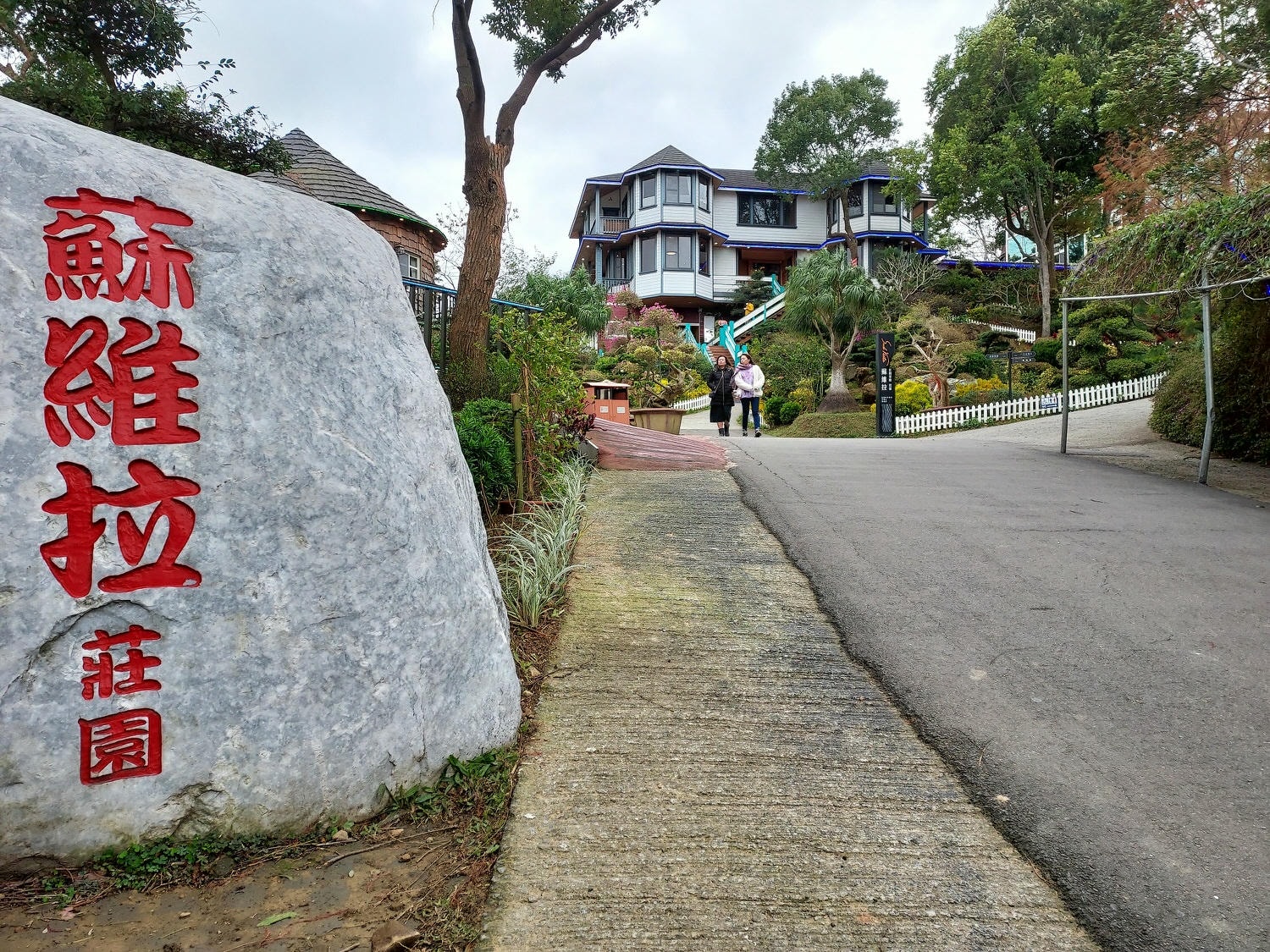 苗栗南庄三灣┃一日行程 秘境300棵 三灣落羽松免門票 順遊南庄蘇維拉莊園超長溜滑梯 吃客家菜