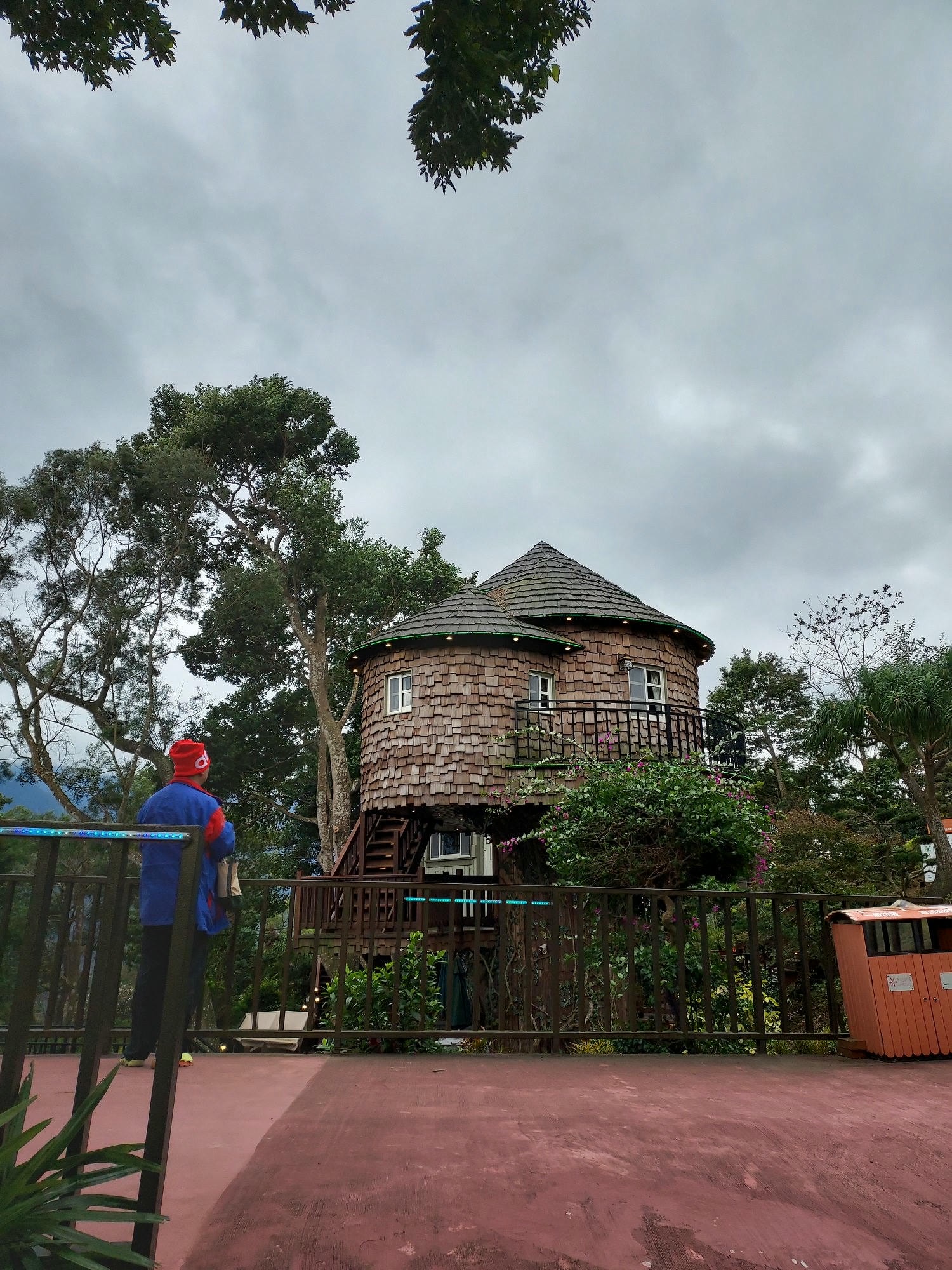 苗栗南庄三灣┃一日行程 秘境300棵 三灣落羽松免門票 順遊南庄蘇維拉莊園超長溜滑梯 吃客家菜