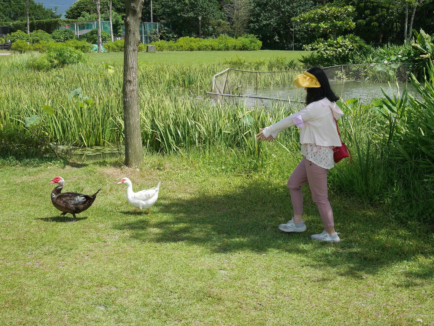 防曬推薦┃「冰感穿整天」冰薄抗UV防曬蕉下BENEUNDER貝殼帽 外套 袖套 護眼角口罩 修飾身型材質超好必備