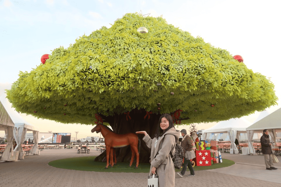 日本關東┃東京大井賽馬場 東京漏掉沒去的快去 專業訓練的馬兒就是不一樣 園區必作五大功課 大井競馬場