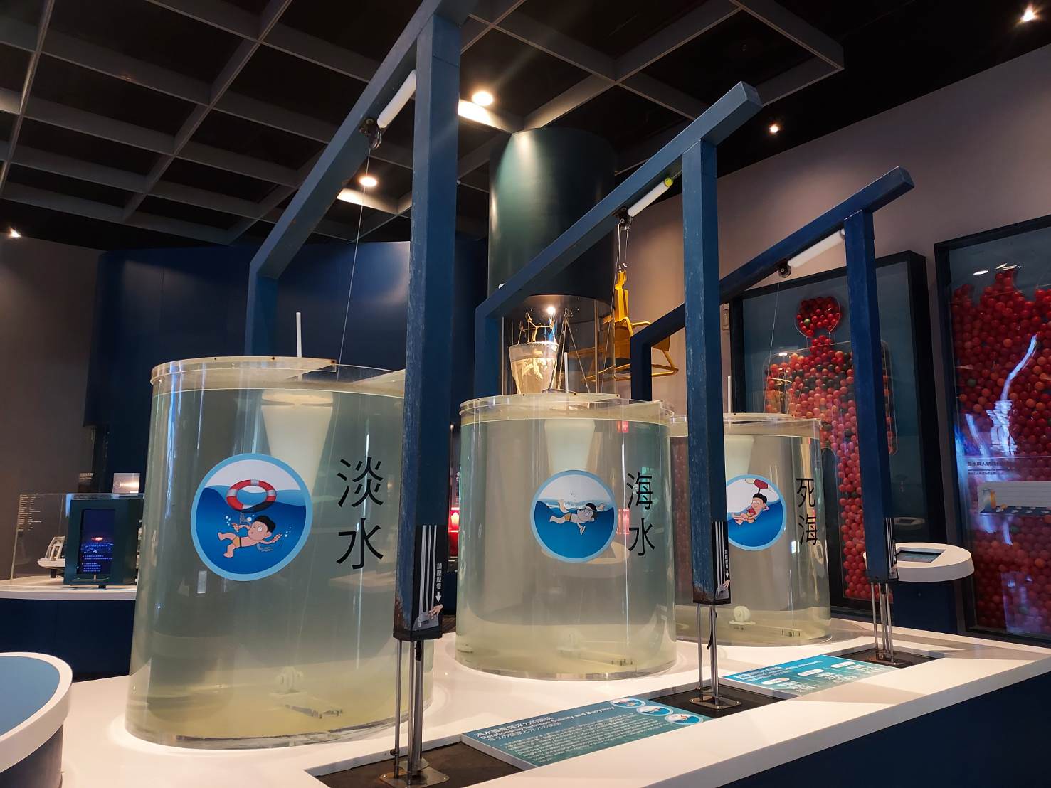 9-10月國際淨灘┃保護海洋「一日淨灘體驗」雄獅旅遊X國立海洋科技博物館 愛海洋別再讓鳥類誤食