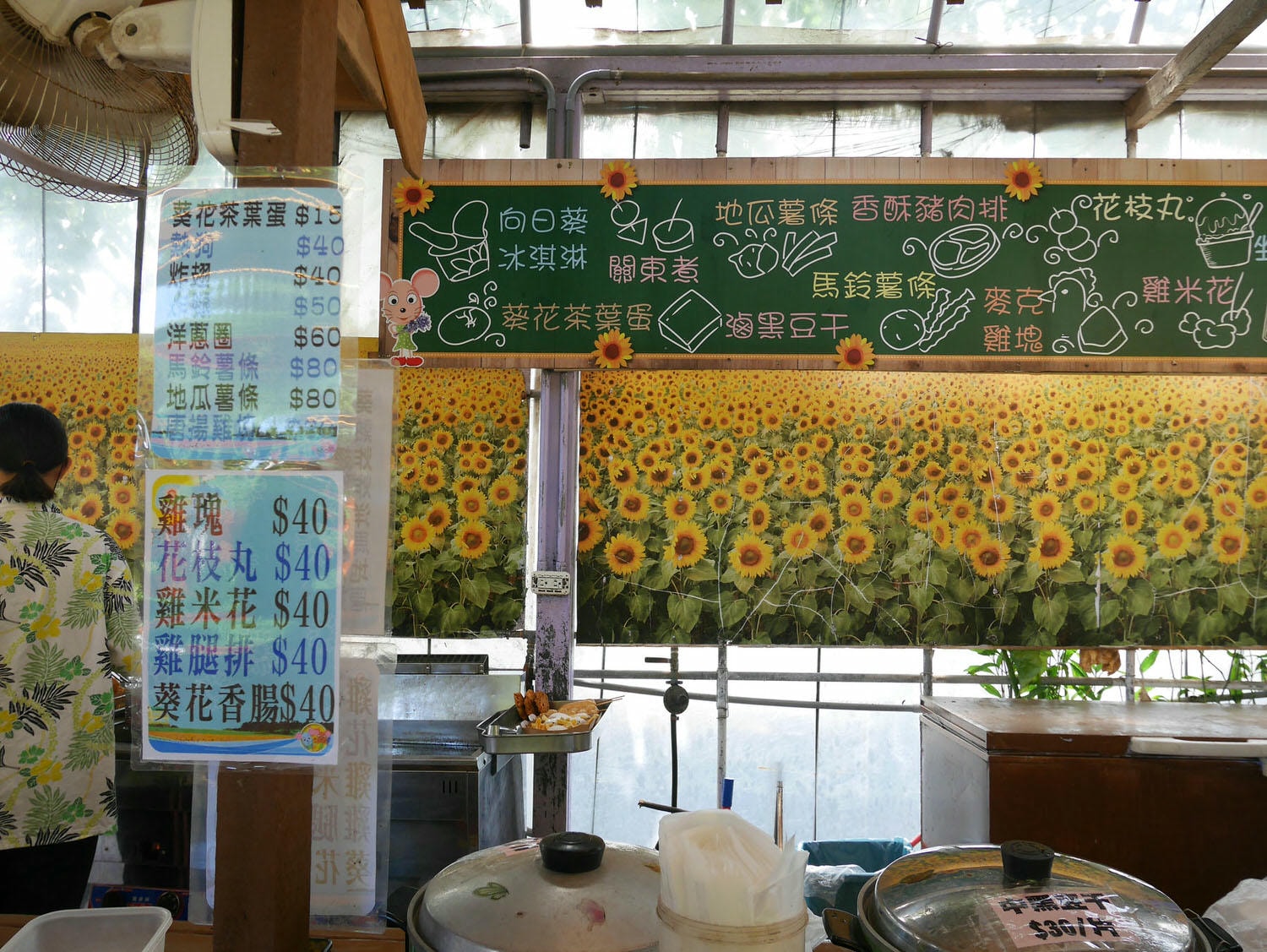 桃園觀音┃親子友善「向陽農場」佔地1500坪 向日葵主題農場 向日葵盛開飛機美景 50元門票抵消費 免費停車