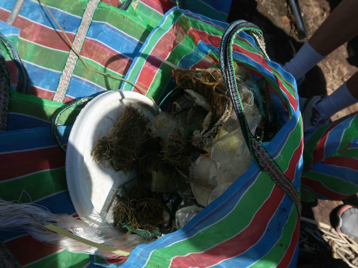 9-10月國際淨灘┃保護海洋「一日淨灘體驗」雄獅旅遊X國立海洋科技博物館 愛海洋別再讓鳥類誤食