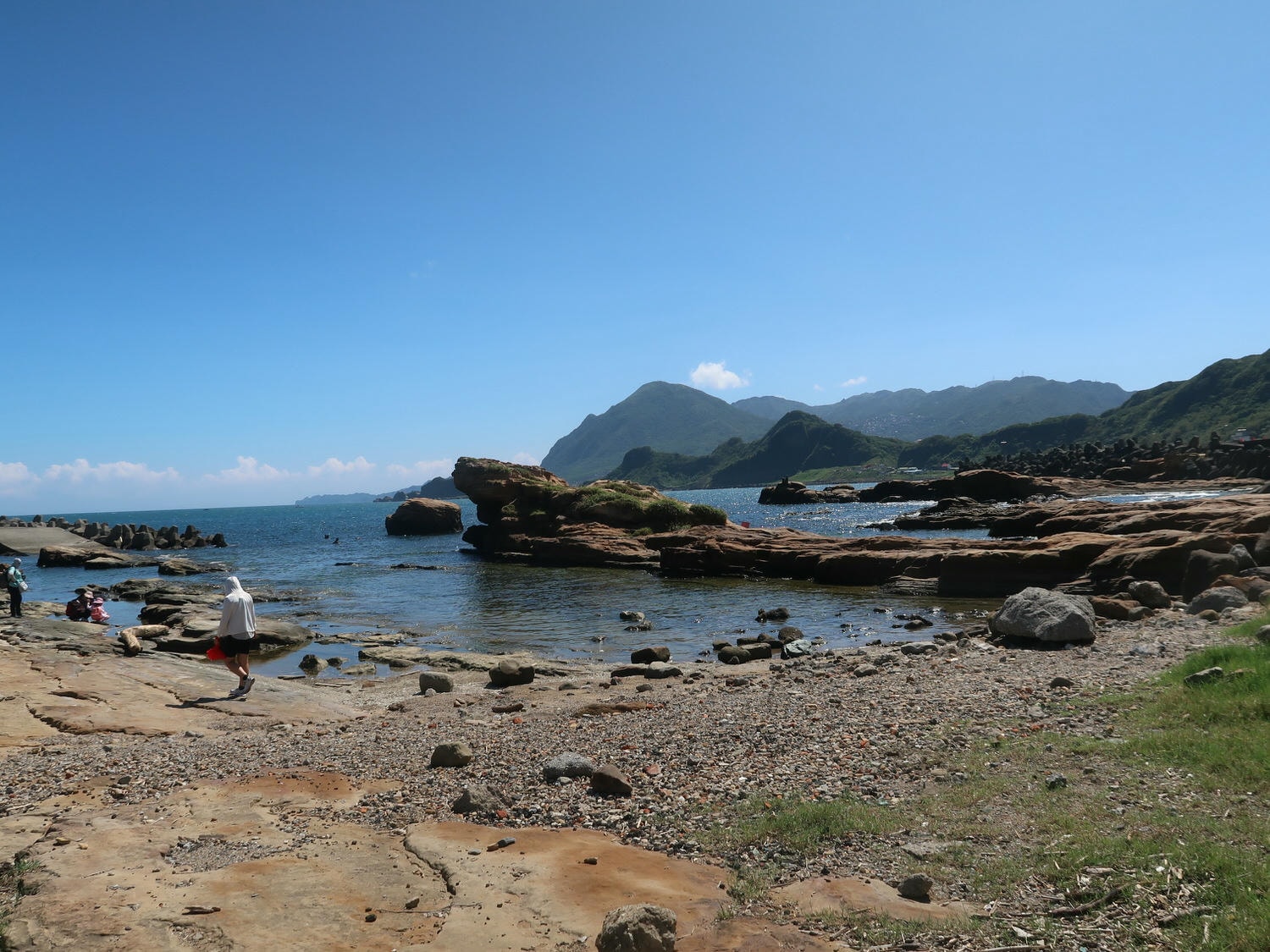 9-10月國際淨灘┃保護海洋「一日淨灘體驗」雄獅旅遊X國立海洋科技博物館 愛海洋別再讓鳥類誤食