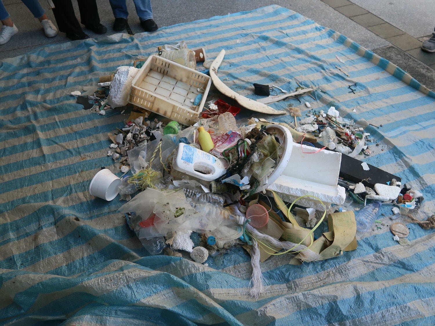 9-10月國際淨灘┃保護海洋「一日淨灘體驗」雄獅旅遊X國立海洋科技博物館 愛海洋別再讓鳥類誤食