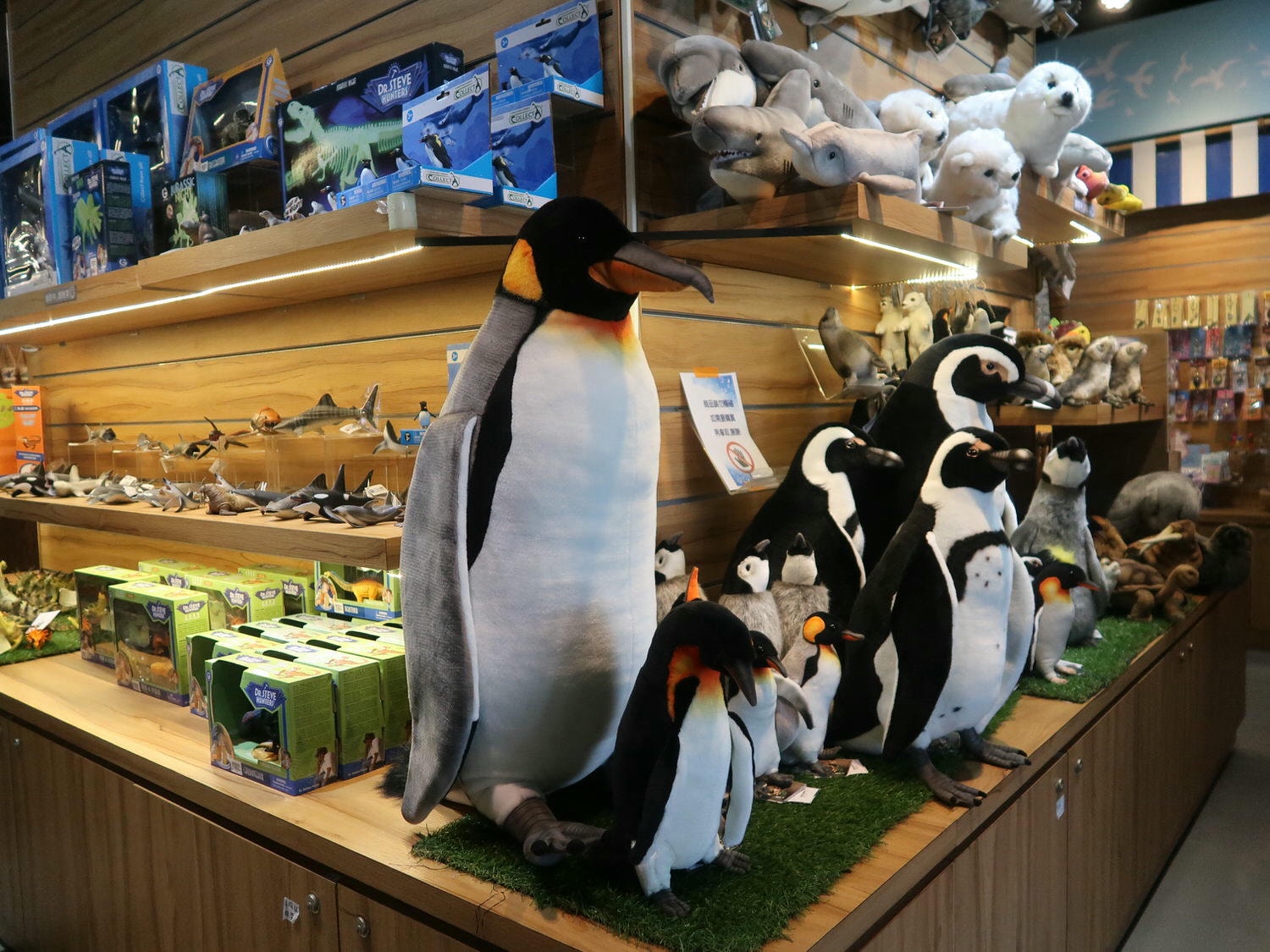 9-10月國際淨灘┃保護海洋「一日淨灘體驗」雄獅旅遊X國立海洋科技博物館 愛海洋別再讓鳥類誤食