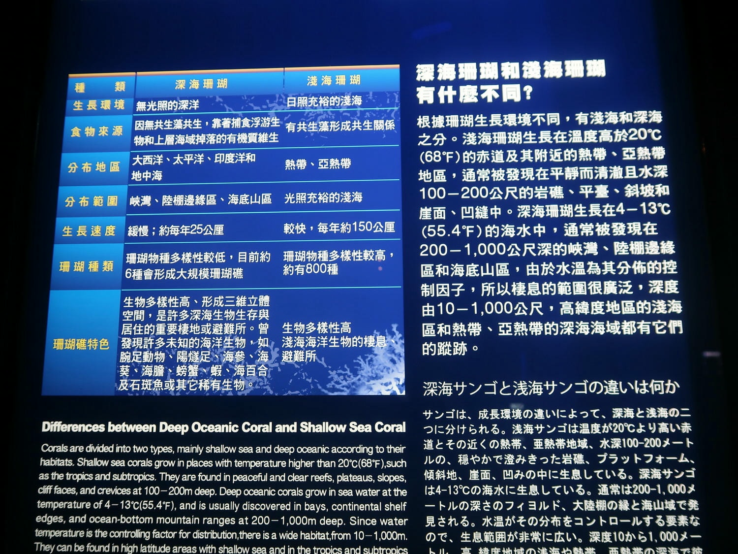 9-10月國際淨灘┃保護海洋「一日淨灘體驗」雄獅旅遊X國立海洋科技博物館 愛海洋別再讓鳥類誤食