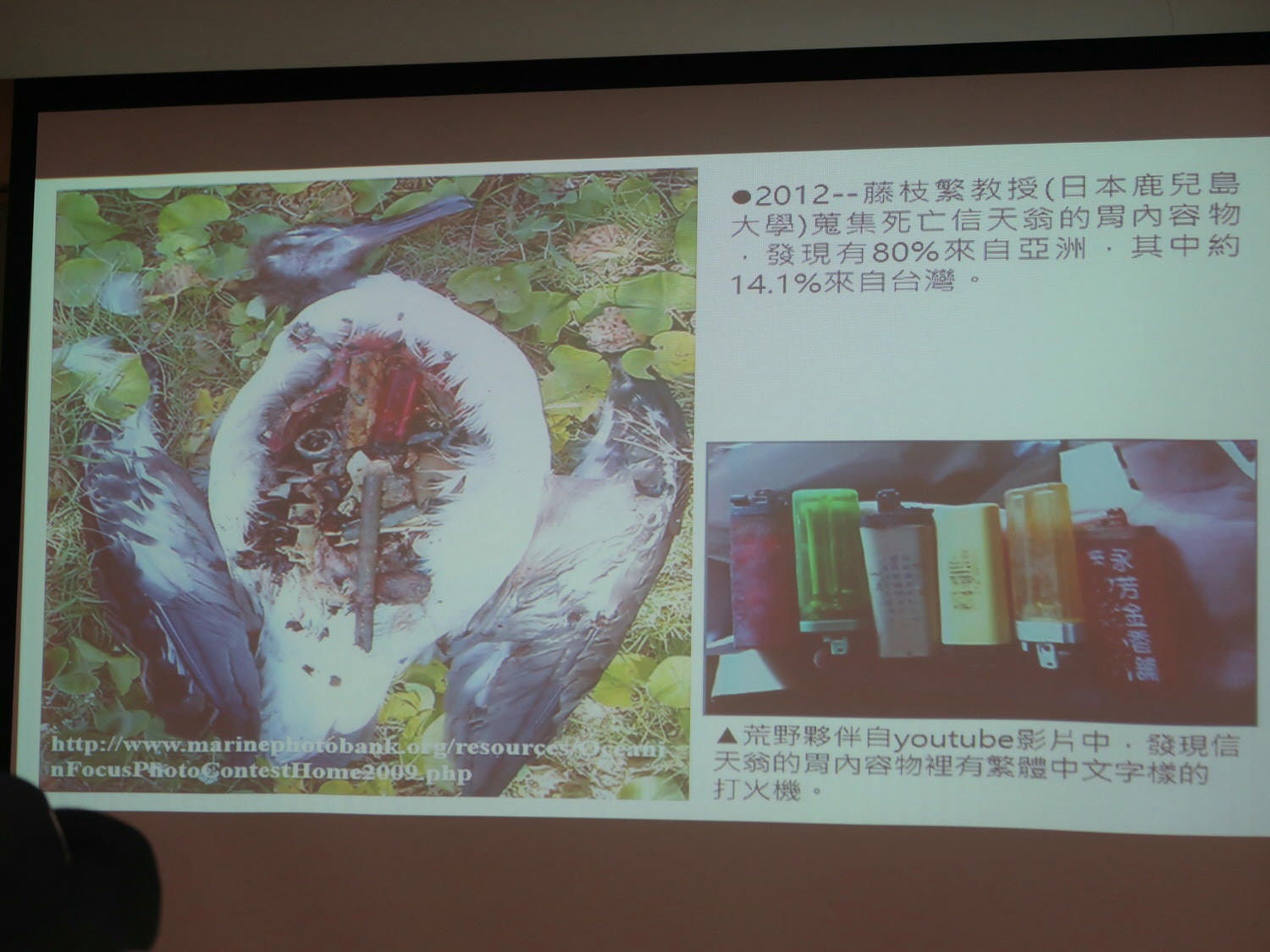 9-10月國際淨灘┃保護海洋「一日淨灘體驗」雄獅旅遊X國立海洋科技博物館 愛海洋別再讓鳥類誤食