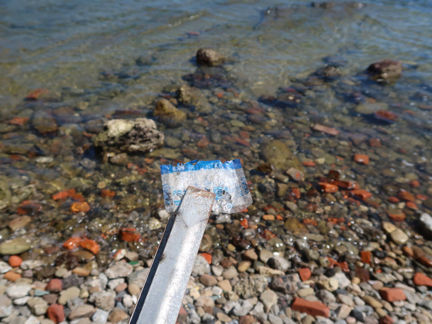 9-10月國際淨灘┃保護海洋「一日淨灘體驗」雄獅旅遊X國立海洋科技博物館 愛海洋別再讓鳥類誤食