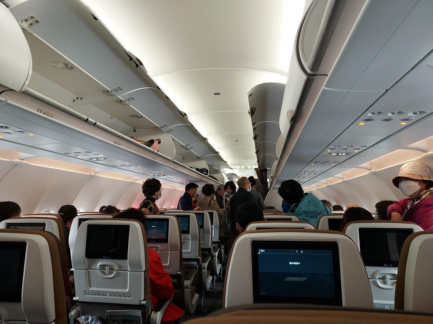 四國德島┃星宇航空包機直飛德島全記錄 仙境勝浦町賞櫻 最矮弁天山登頂 DMV鐵道路兩用車 爆買大野海苔