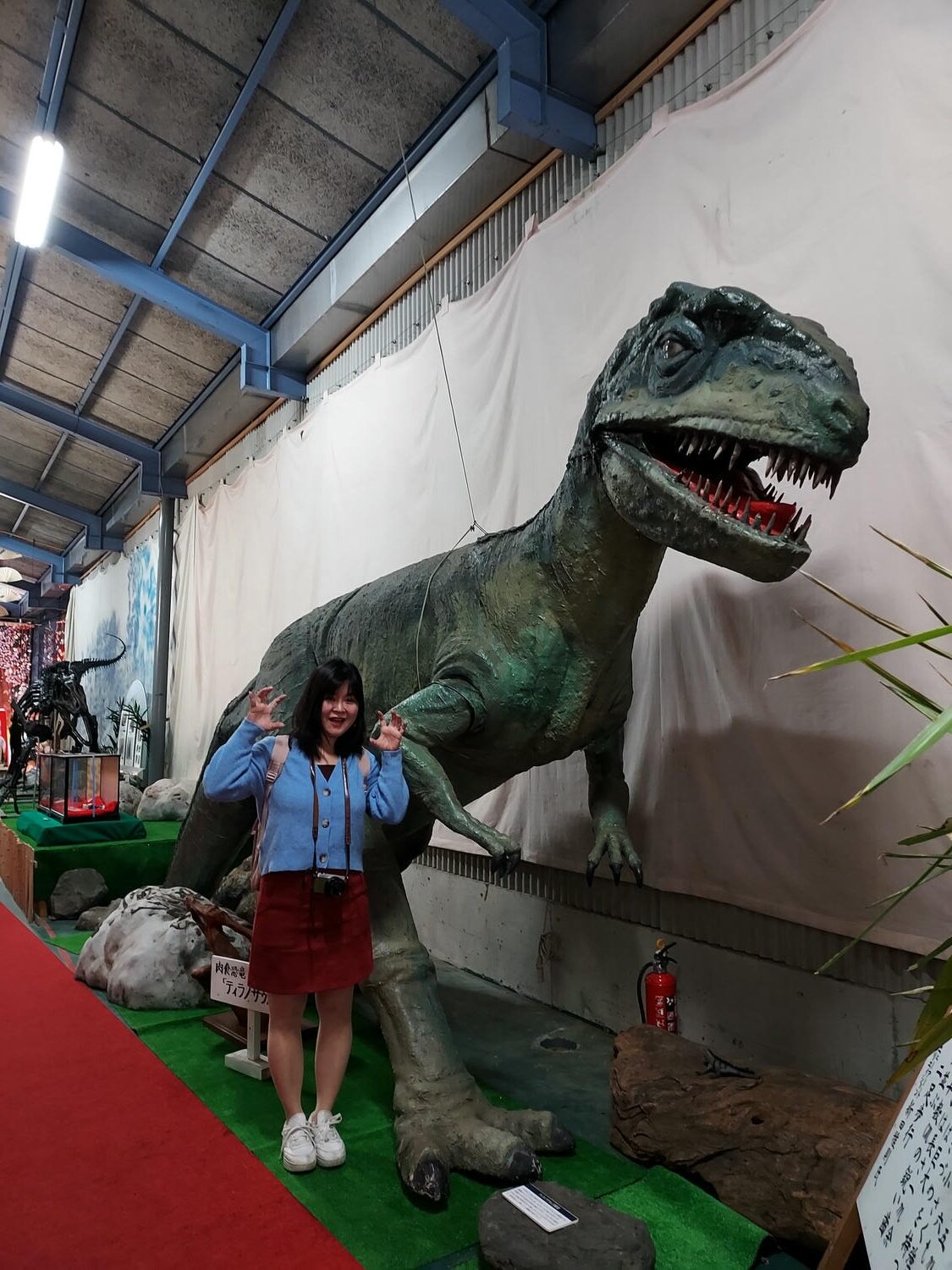 四國德島┃星宇航空包機直飛德島全記錄 仙境勝浦町賞櫻 最矮弁天山登頂 DMV鐵道路兩用車 爆買大野海苔 - 第37張圖 四國德島┃星宇航空包機直飛德島全記錄 仙境勝浦町賞櫻 最矮弁天山登頂 DMV鐵道路兩用車 爆買大野海苔