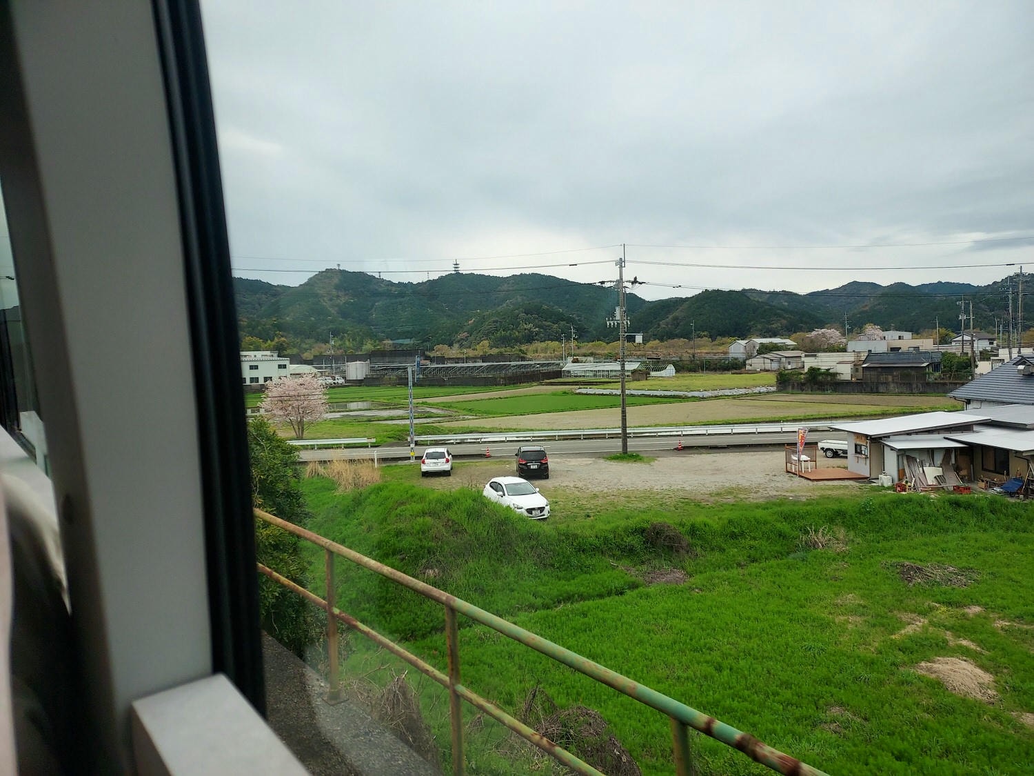 四國德島┃星宇航空包機直飛德島全記錄 仙境勝浦町賞櫻 最矮弁天山登頂 DMV鐵道路兩用車 爆買大野海苔