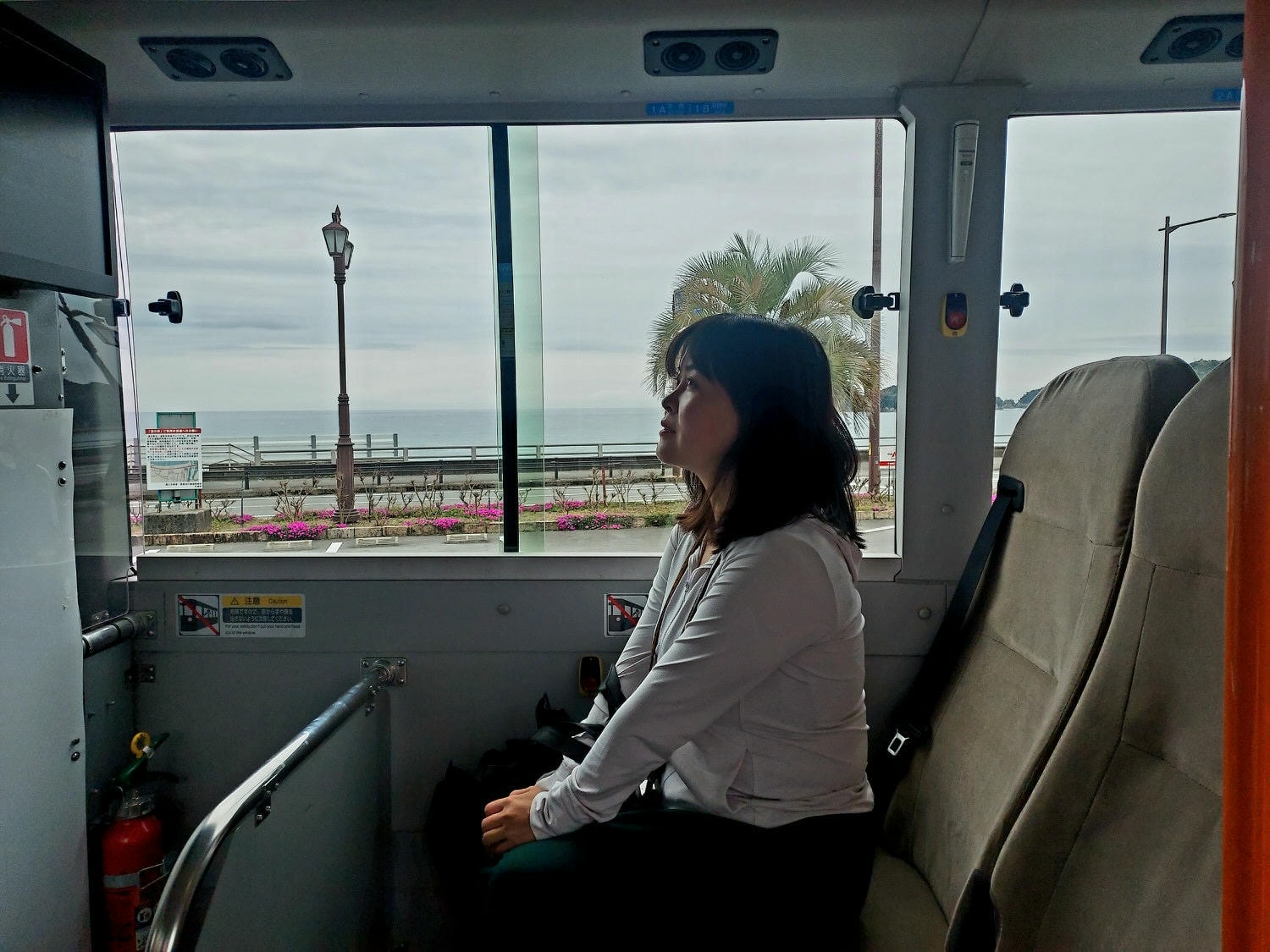 四國德島┃星宇航空包機直飛德島全記錄 仙境勝浦町賞櫻 最矮弁天山登頂 DMV鐵道路兩用車 爆買大野海苔