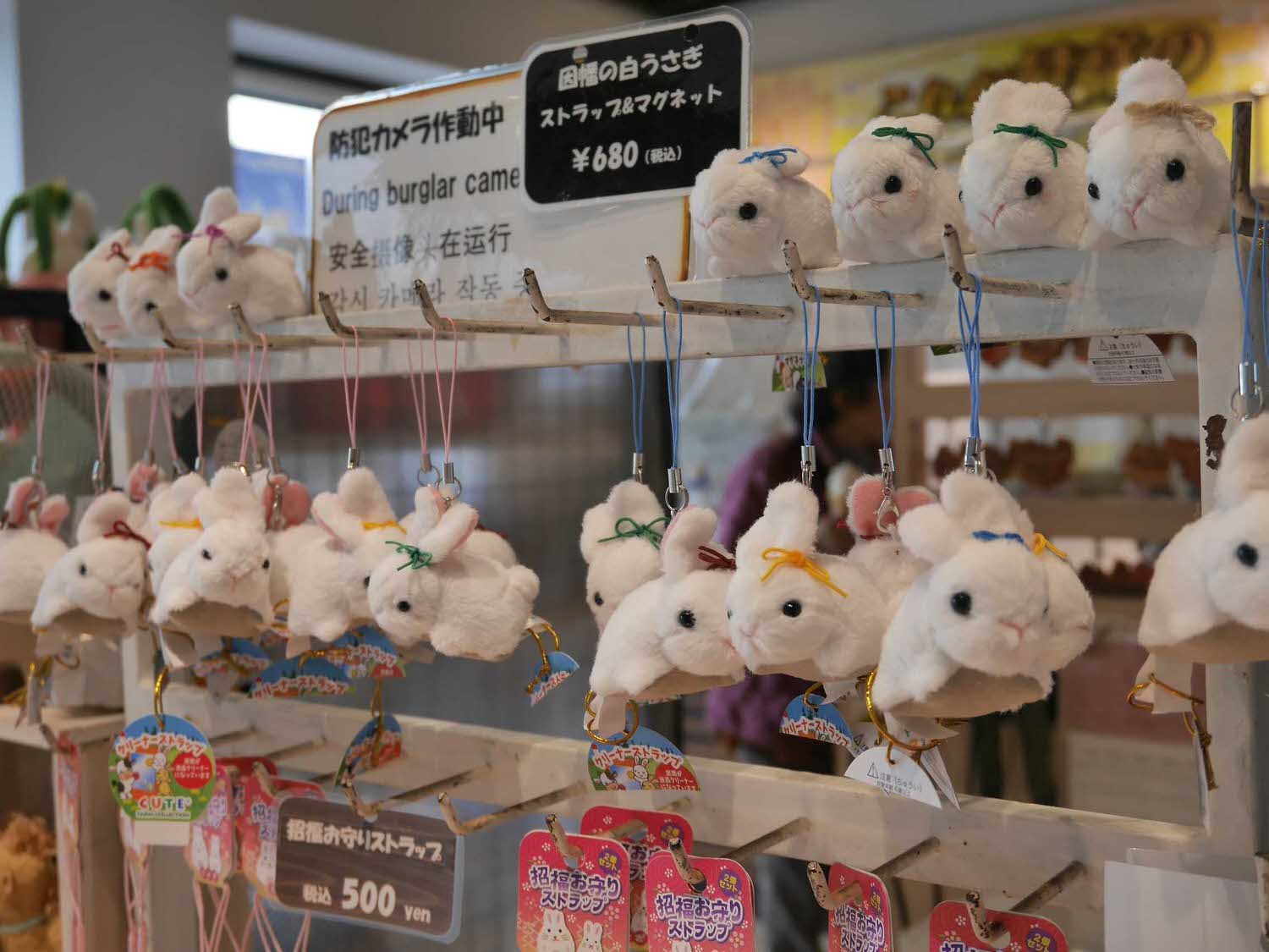 鳥取景點┃砂丘中心見晴之丘吃飯 搭吊椅展望砂丘 隈研吾建築Takahama Cafe高濱咖啡廳 鳥取自由行LISA駱駝