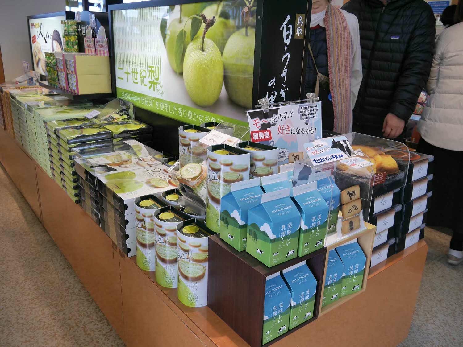 鳥取景點┃砂丘中心見晴之丘吃飯 搭吊椅展望砂丘 隈研吾建築Takahama Cafe高濱咖啡廳 鳥取自由行LISA駱駝