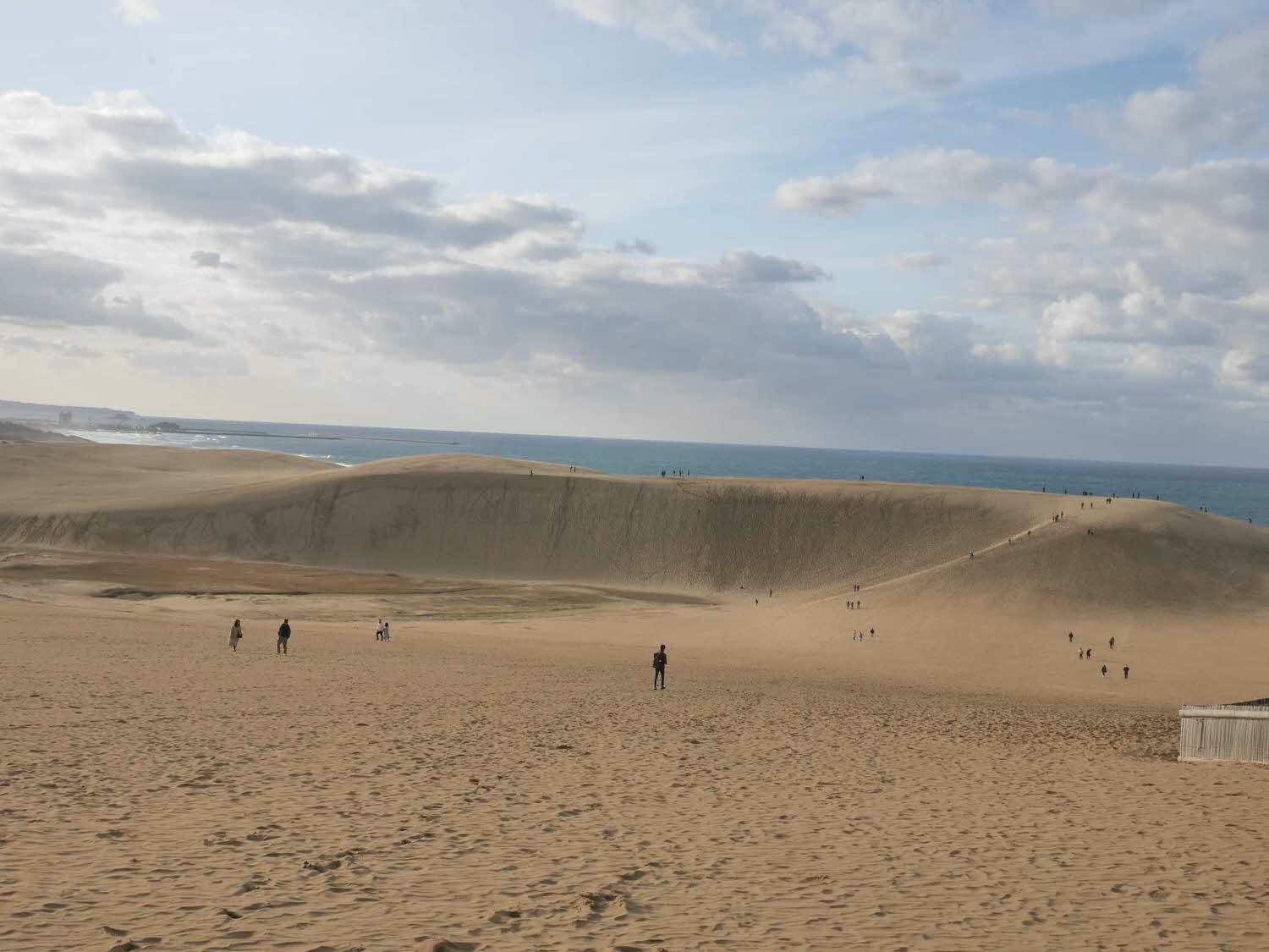 鳥取景點┃砂丘中心見晴之丘吃飯 搭吊椅展望砂丘 隈研吾建築Takahama Cafe高濱咖啡廳 鳥取自由行LISA駱駝