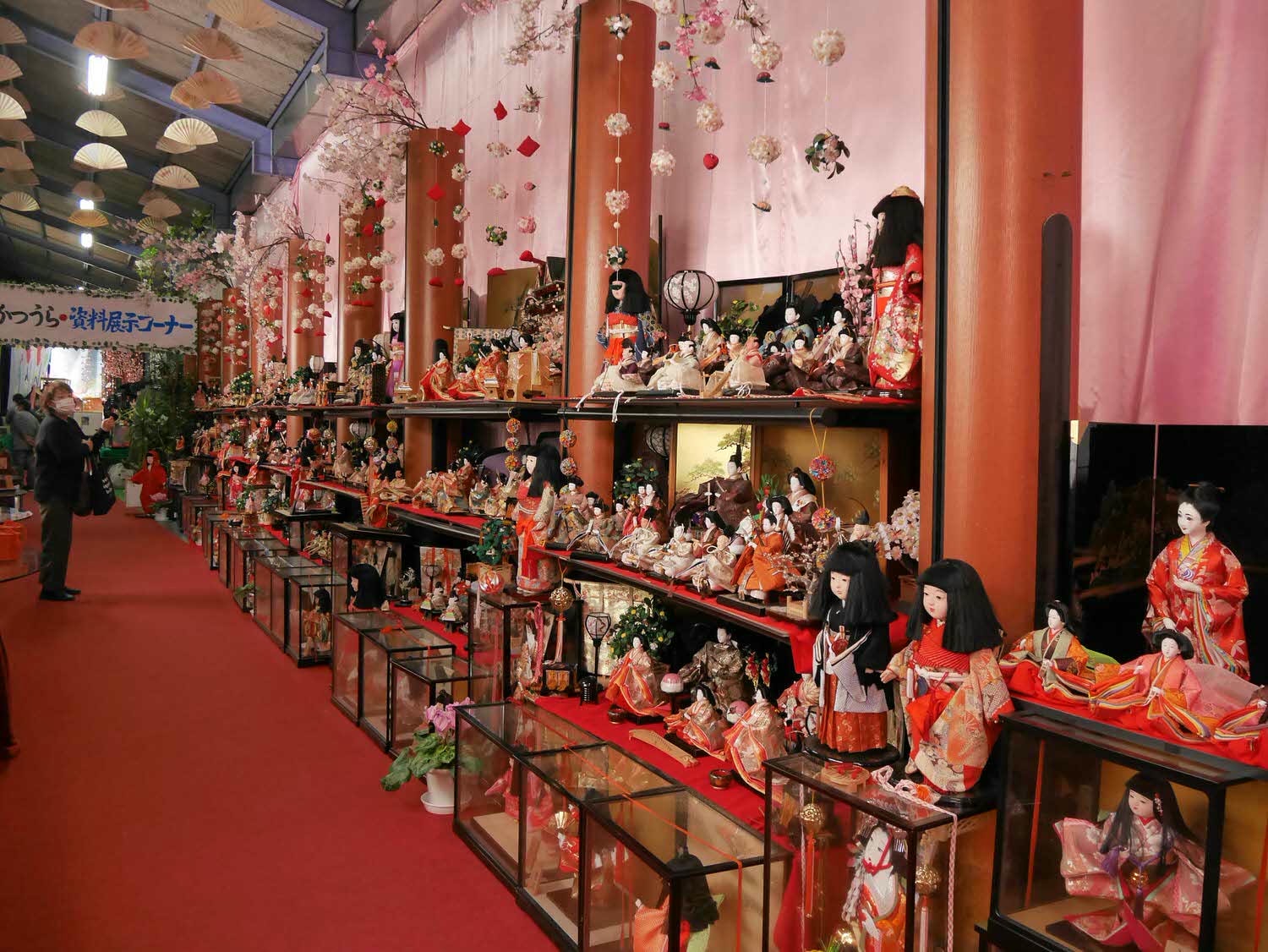 四國德島┃星宇航空包機直飛德島全記錄 仙境勝浦町賞櫻 最矮弁天山登頂 DMV鐵道路兩用車 爆買大野海苔