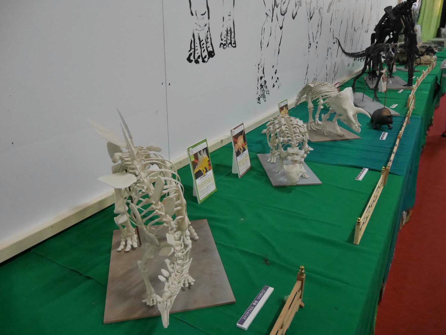 四國德島┃星宇航空包機直飛德島全記錄 仙境勝浦町賞櫻 最矮弁天山登頂 DMV鐵道路兩用車 爆買大野海苔