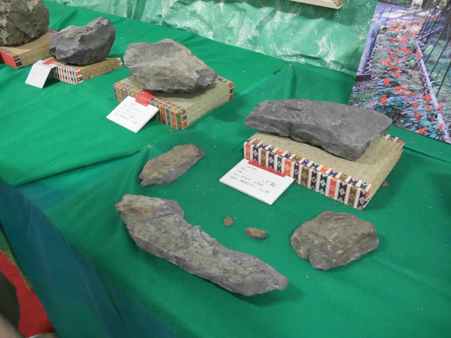 四國德島┃星宇航空包機直飛德島全記錄 仙境勝浦町賞櫻 最矮弁天山登頂 DMV鐵道路兩用車 爆買大野海苔