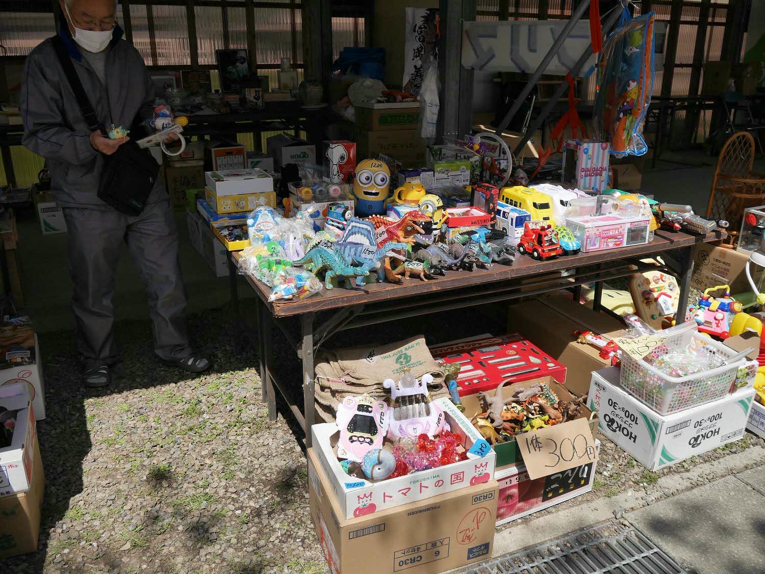 四國德島┃星宇航空包機直飛德島全記錄 仙境勝浦町賞櫻 最矮弁天山登頂 DMV鐵道路兩用車 爆買大野海苔