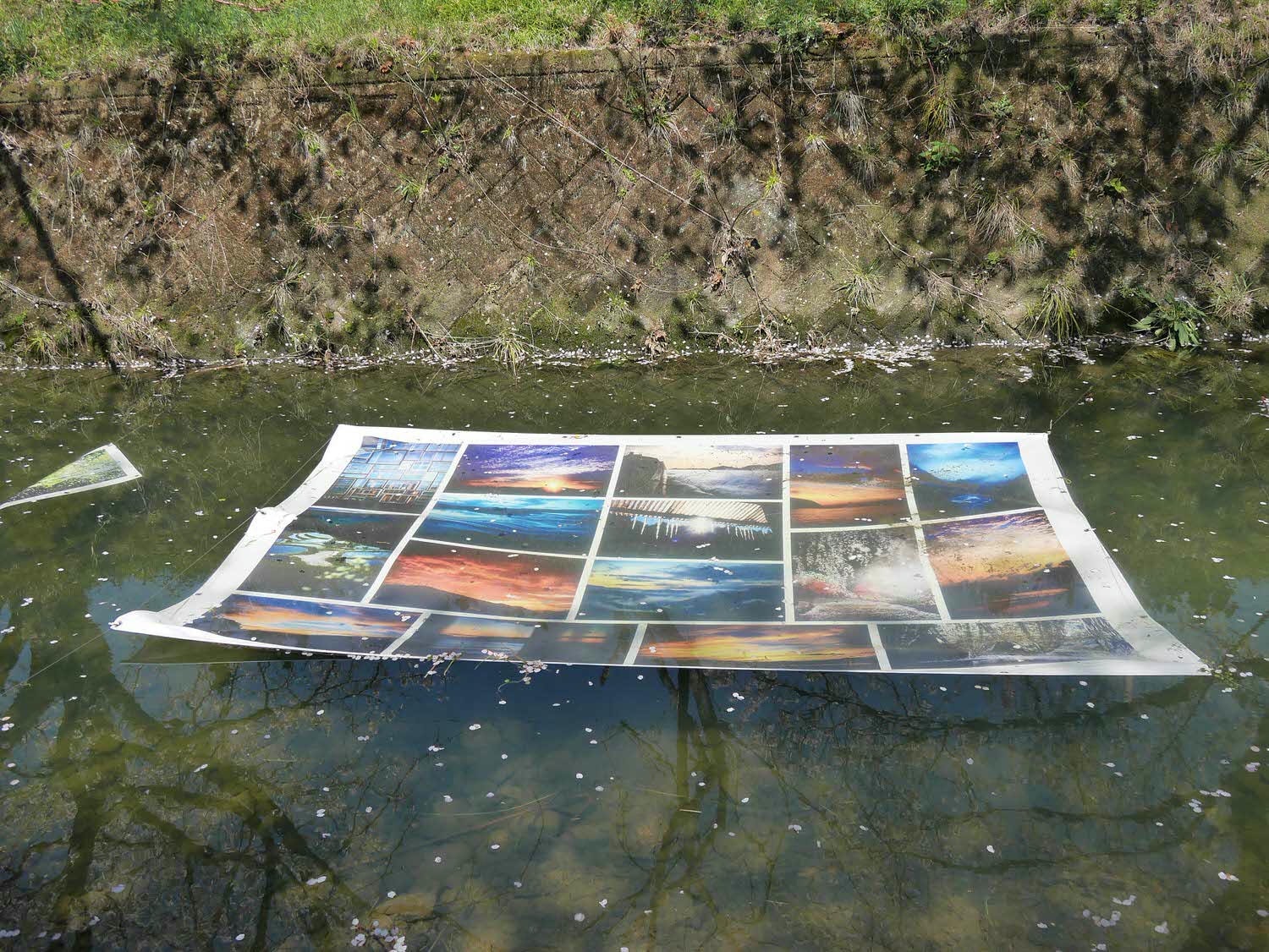 四國德島┃星宇航空包機直飛德島全記錄 仙境勝浦町賞櫻 最矮弁天山登頂 DMV鐵道路兩用車 爆買大野海苔