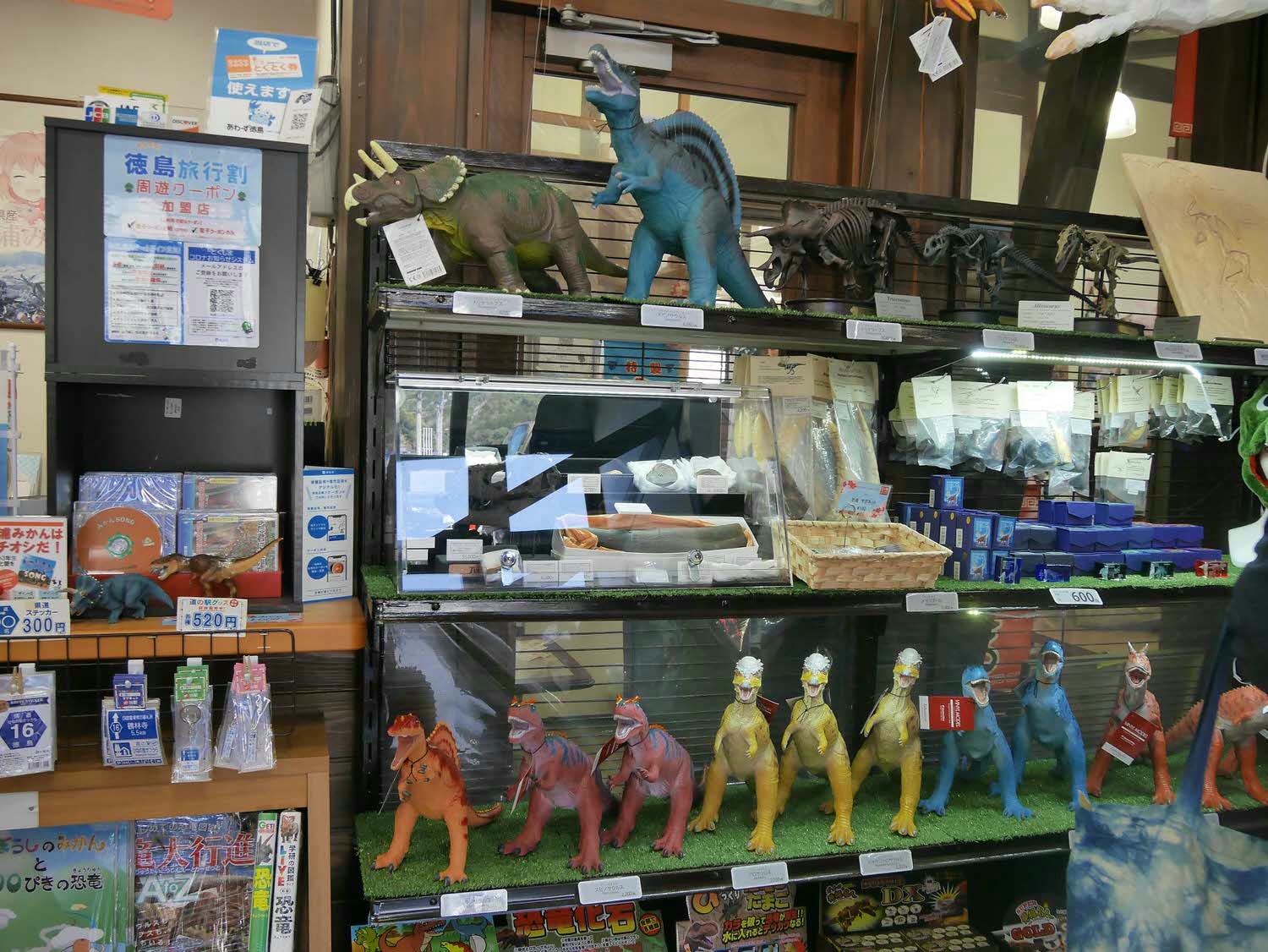 四國德島┃星宇航空包機直飛德島全記錄 仙境勝浦町賞櫻 最矮弁天山登頂 DMV鐵道路兩用車 爆買大野海苔