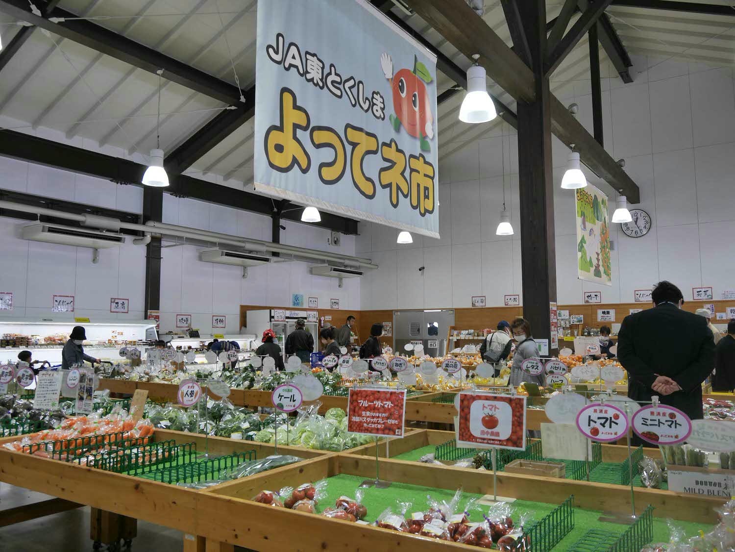 四國德島┃星宇航空包機直飛德島全記錄 仙境勝浦町賞櫻 最矮弁天山登頂 DMV鐵道路兩用車 爆買大野海苔