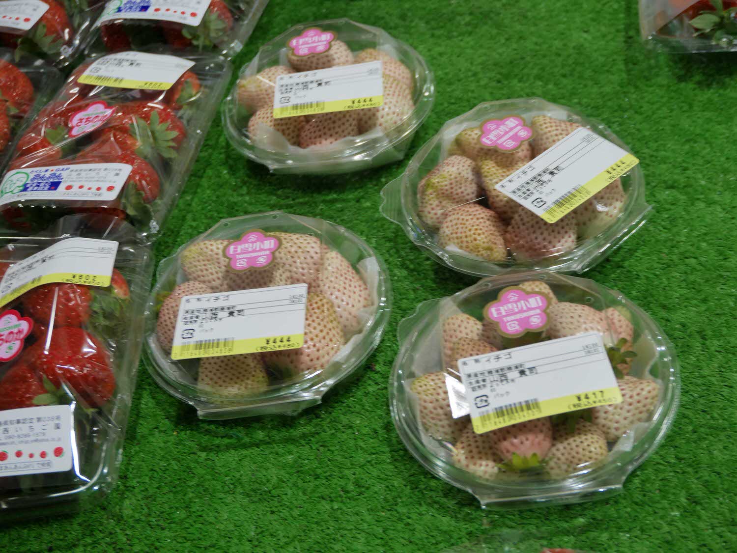 四國德島┃星宇航空包機直飛德島全記錄 仙境勝浦町賞櫻 最矮弁天山登頂 DMV鐵道路兩用車 爆買大野海苔