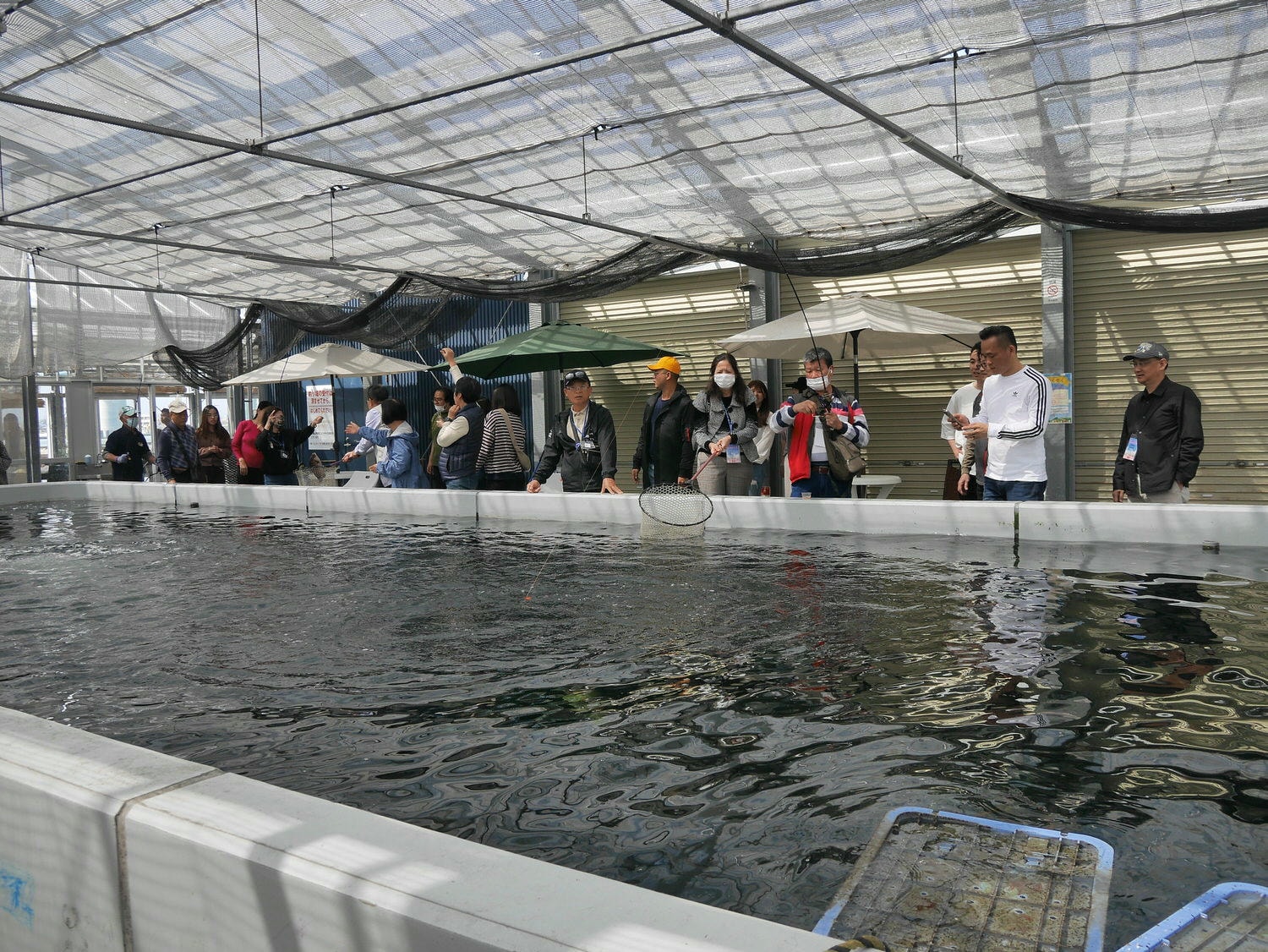 四國德島餐廳┃四國最好玩釣魚餐廳 德島新鮮納得市定食燒烤複合式/徳島新鮮なっとく市 海景超美 近永旺購物德島港 - 第22張圖 四國德島餐廳┃四國最好玩釣魚餐廳 德島新鮮納得市定食燒烤複合式/徳島新鮮なっとく市 海景超美 近永旺購物德島港