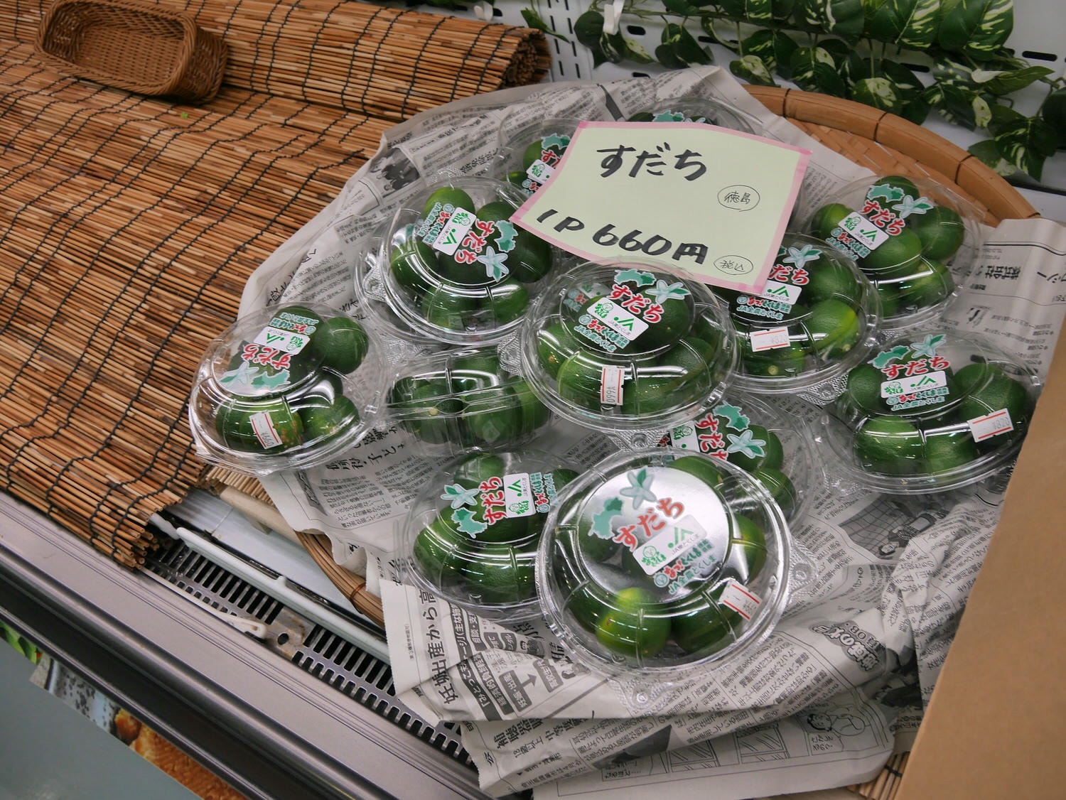 四國德島餐廳┃四國最好玩釣魚餐廳 德島新鮮納得市定食燒烤複合式/徳島新鮮なっとく市 海景超美 近永旺購物德島港 - 第46張圖 四國德島餐廳┃四國最好玩釣魚餐廳 德島新鮮納得市定食燒烤複合式/徳島新鮮なっとく市 海景超美 近永旺購物德島港