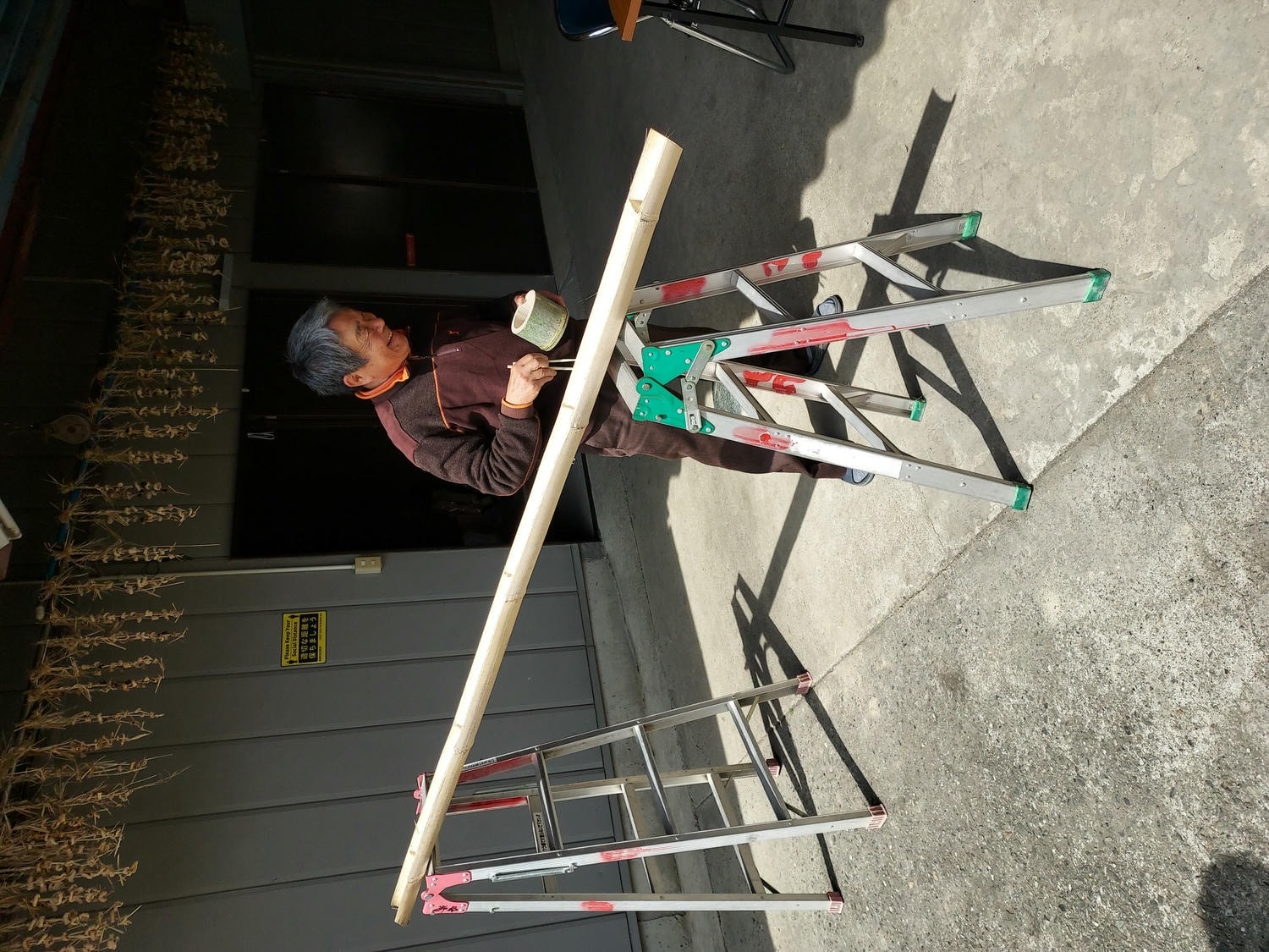 四國德島民宿┃西部秘境「岩野家古民家」民宿農泊住一晚 JR阿波池田接送 菜園拔菜流水素麵 夜晚賞星星