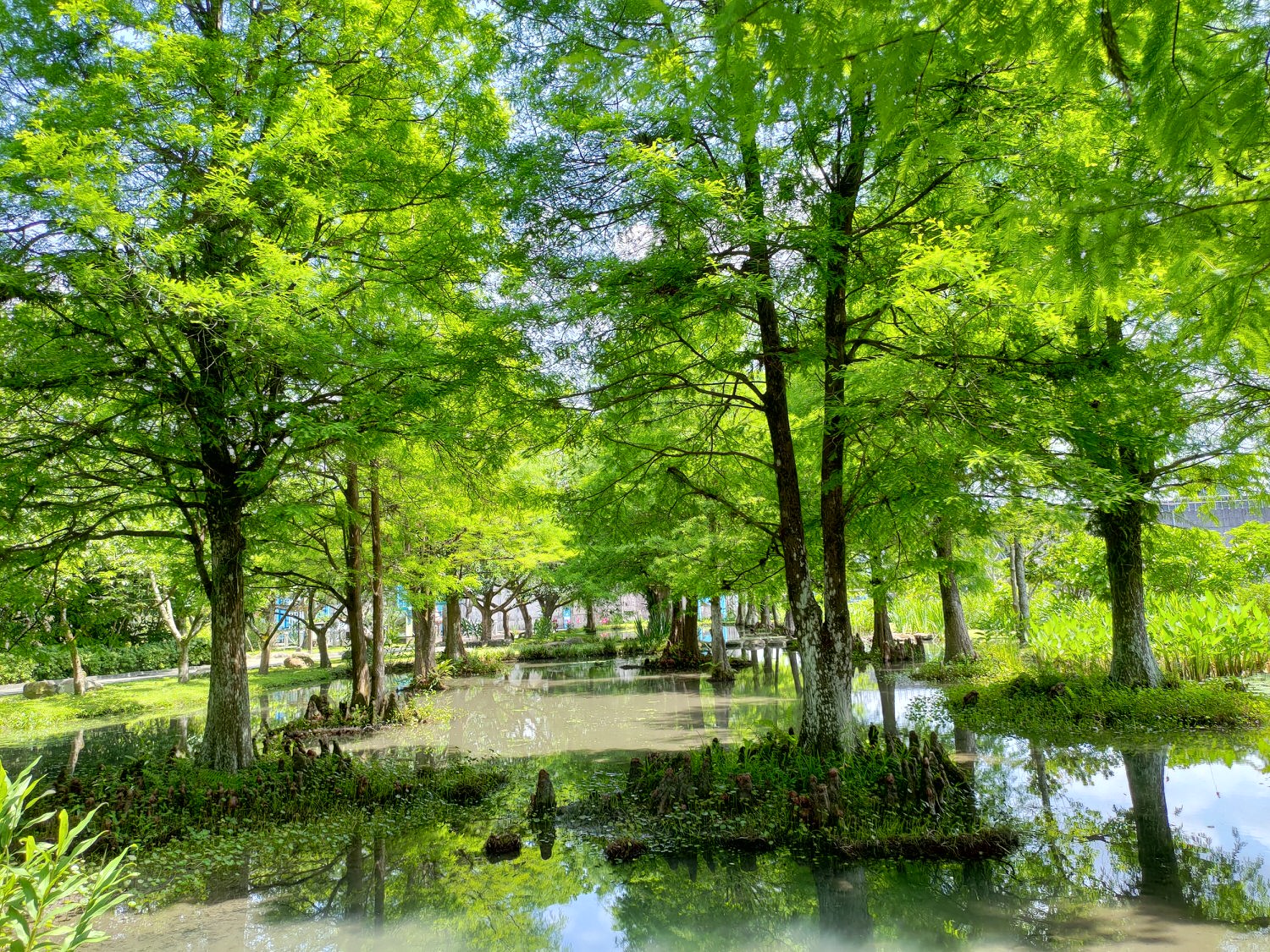 宜蘭員山┃水的故鄉「深溝水源生態園區‐自來水公司」認識水資源淨水場 23公頃森林園區 親子網美拍照 - 第18張圖 宜蘭員山┃水的故鄉「深溝水源生態園區‐自來水公司」認識水資源淨水場 23公頃森林園區 親子網美拍照