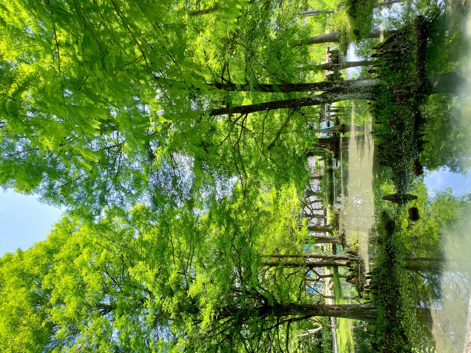 宜蘭員山┃水的故鄉「深溝水源生態園區‐自來水公司」認識水資源淨水場 23公頃森林園區 親子網美拍照 - 第2張圖 宜蘭員山┃水的故鄉「深溝水源生態園區‐自來水公司」認識水資源淨水場 23公頃森林園區 親子網美拍照