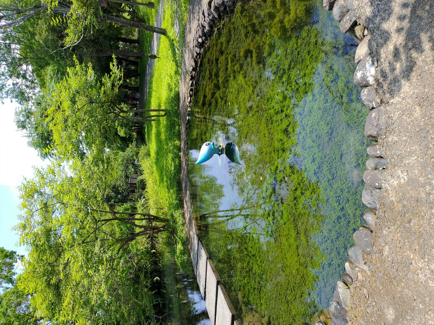 宜蘭員山┃水的故鄉「深溝水源生態園區‐自來水公司」認識水資源淨水場 23公頃森林園區 親子網美拍照 - 第24張圖 宜蘭員山┃水的故鄉「深溝水源生態園區‐自來水公司」認識水資源淨水場 23公頃森林園區 親子網美拍照