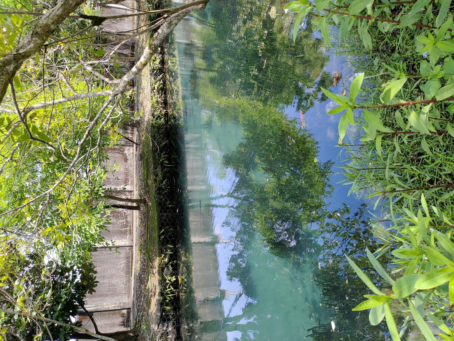 宜蘭員山┃水的故鄉「深溝水源生態園區‐自來水公司」認識水資源淨水場 23公頃森林園區 親子網美拍照 - 第25張圖 宜蘭員山┃水的故鄉「深溝水源生態園區‐自來水公司」認識水資源淨水場 23公頃森林園區 親子網美拍照