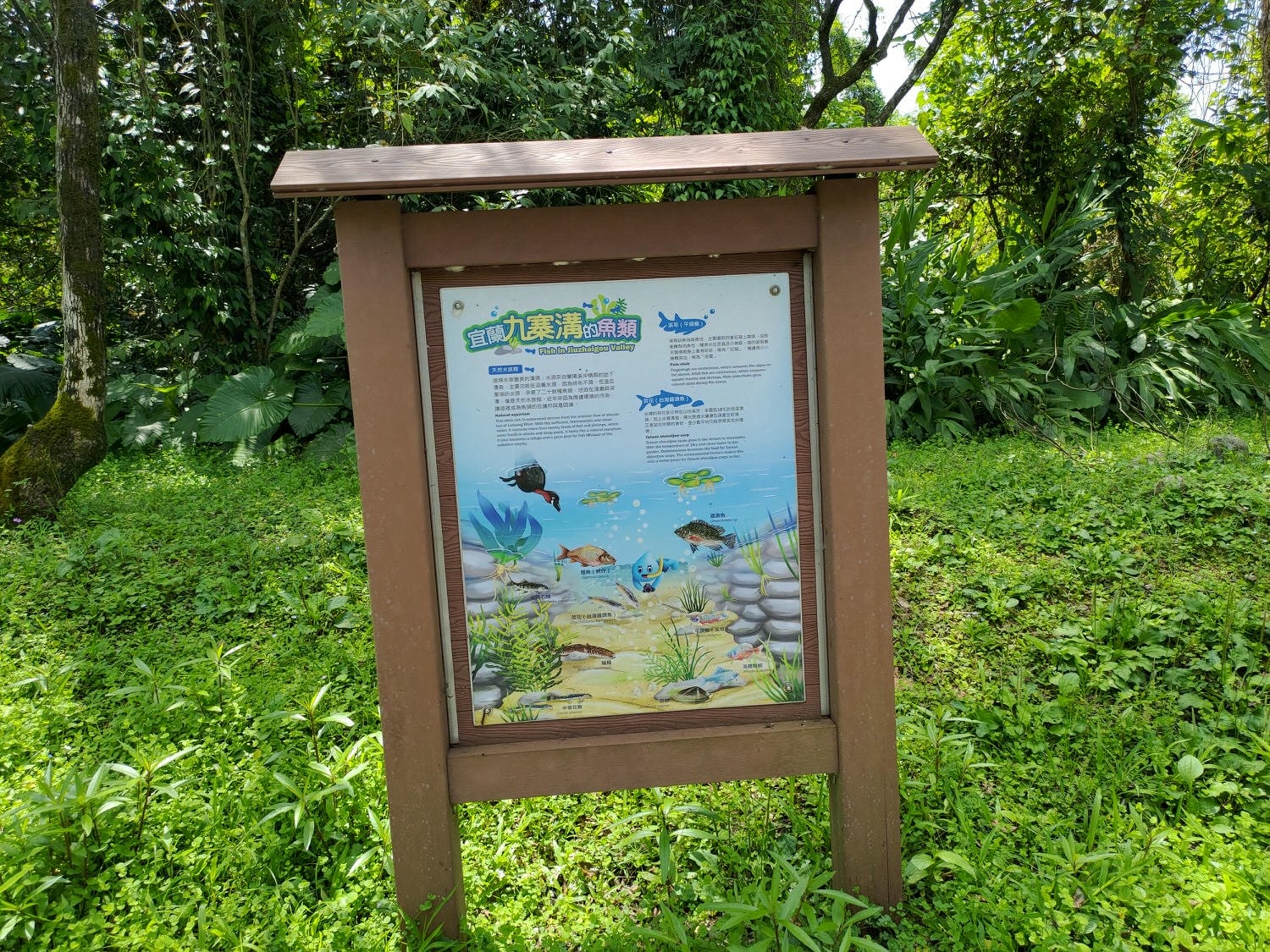 宜蘭員山┃水的故鄉「深溝水源生態園區‐自來水公司」認識水資源淨水場 23公頃森林園區 親子網美拍照 - 第19張圖 宜蘭員山┃水的故鄉「深溝水源生態園區‐自來水公司」認識水資源淨水場 23公頃森林園區 親子網美拍照