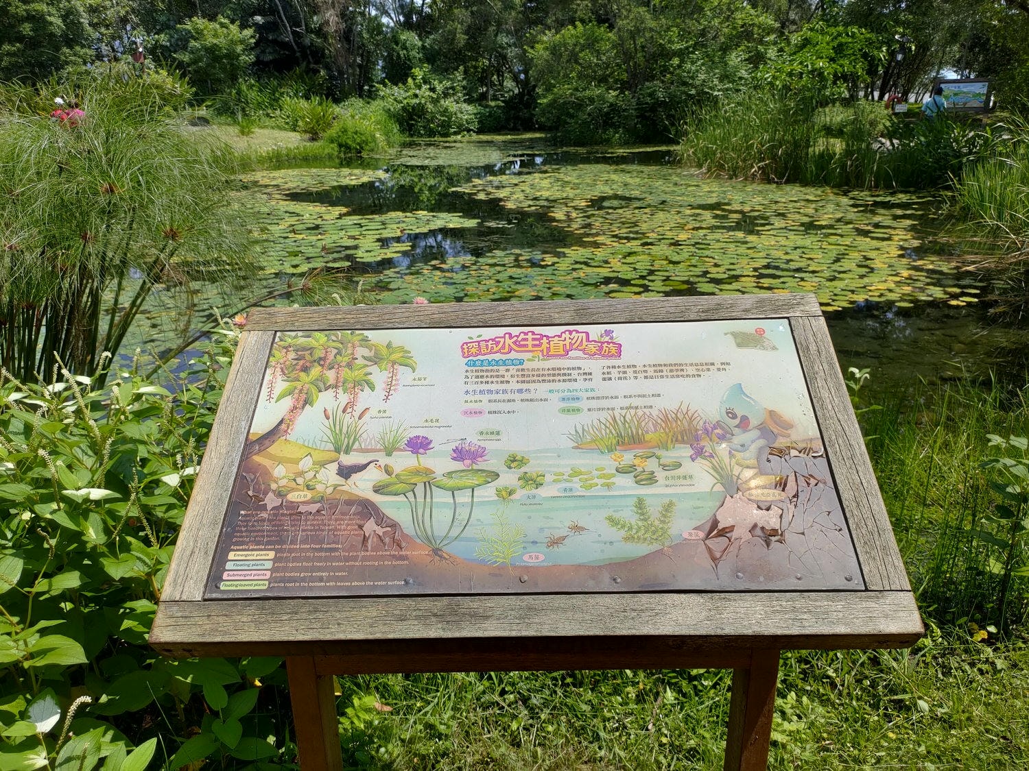 宜蘭員山┃水的故鄉「深溝水源生態園區‐自來水公司」認識水資源淨水場 23公頃森林園區 親子網美拍照 - 第27張圖 宜蘭員山┃水的故鄉「深溝水源生態園區‐自來水公司」認識水資源淨水場 23公頃森林園區 親子網美拍照