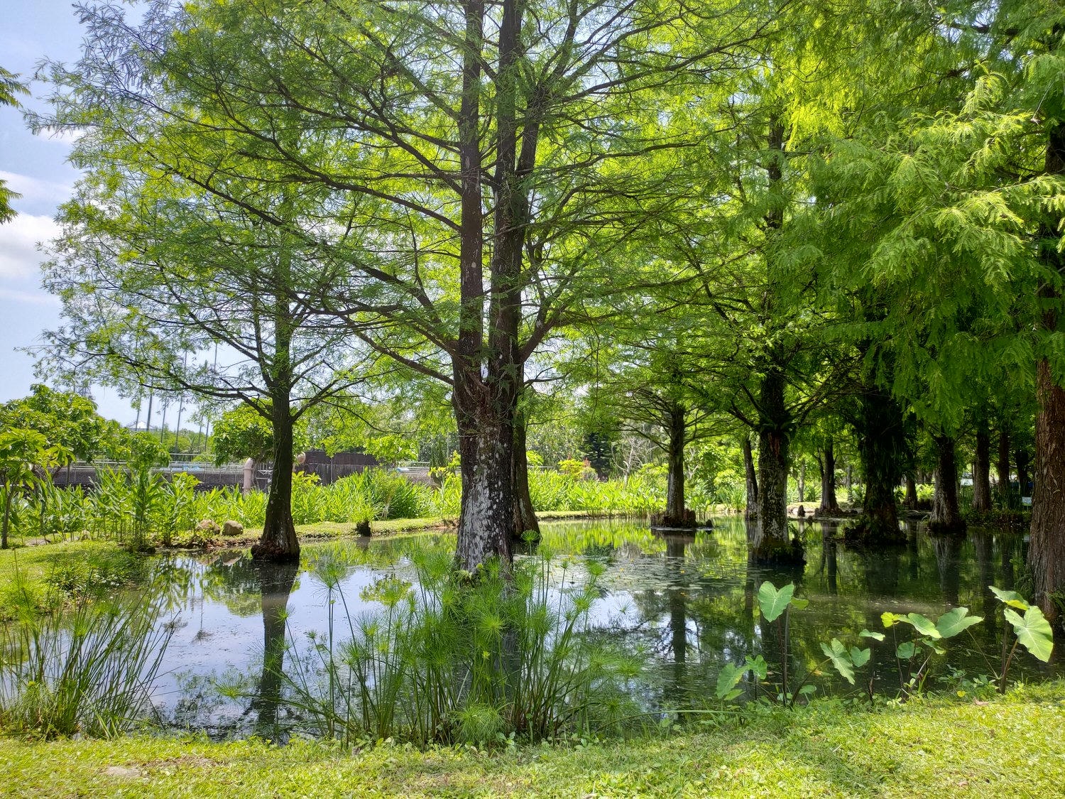 宜蘭員山┃水的故鄉「深溝水源生態園區‐自來水公司」認識水資源淨水場 23公頃森林園區 親子網美拍照 - 第31張圖 宜蘭員山┃水的故鄉「深溝水源生態園區‐自來水公司」認識水資源淨水場 23公頃森林園區 親子網美拍照