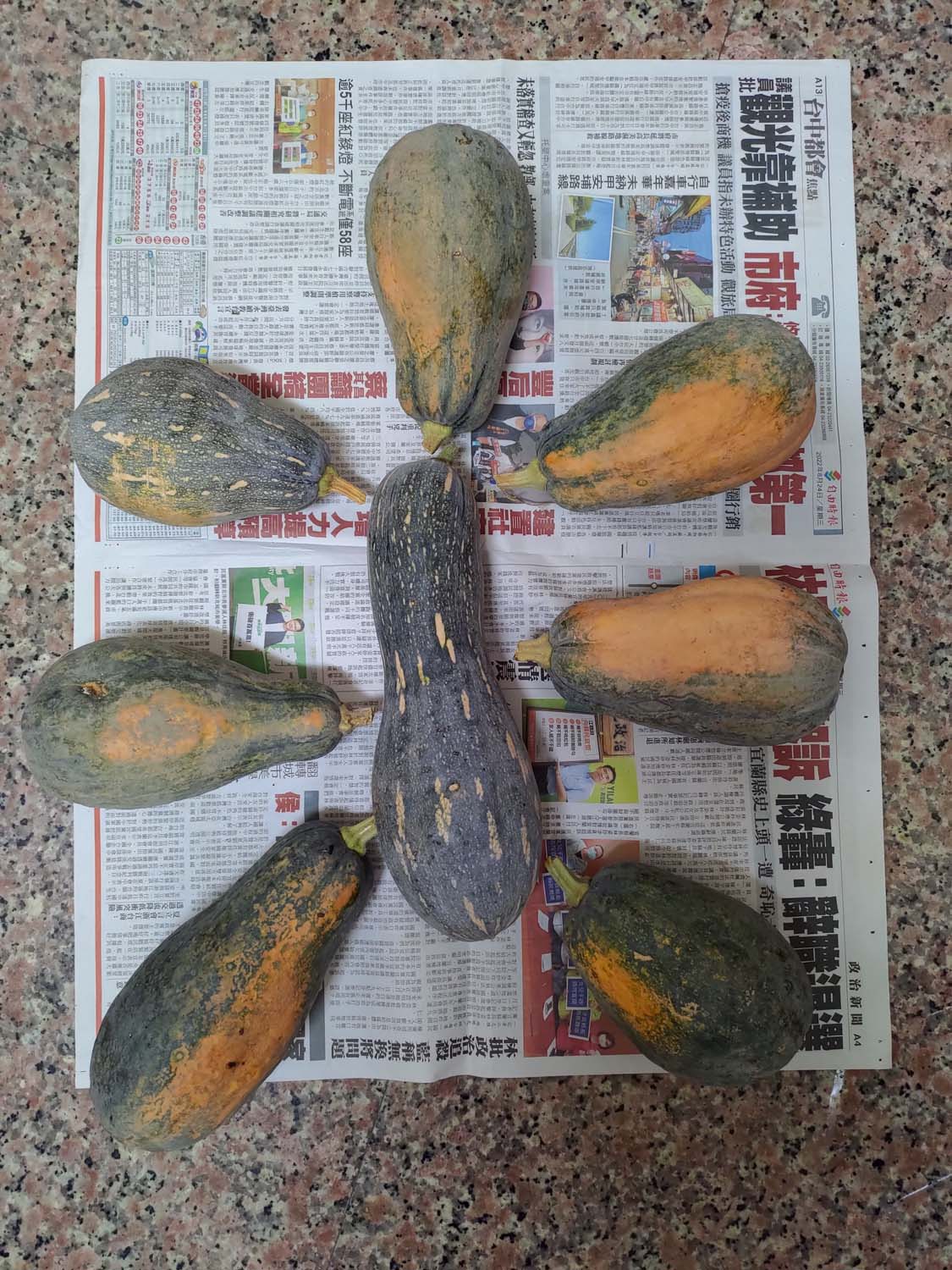 日常記錄┃2023全家手工採荔枝 共採100公斤 台湾農家ライチ大収穫祭 2024年ライチ狩り体験募集 - 第29張圖 日常記錄┃2023全家手工採荔枝 共採100公斤 台湾農家ライチ大収穫祭 2024年ライチ狩り体験募集