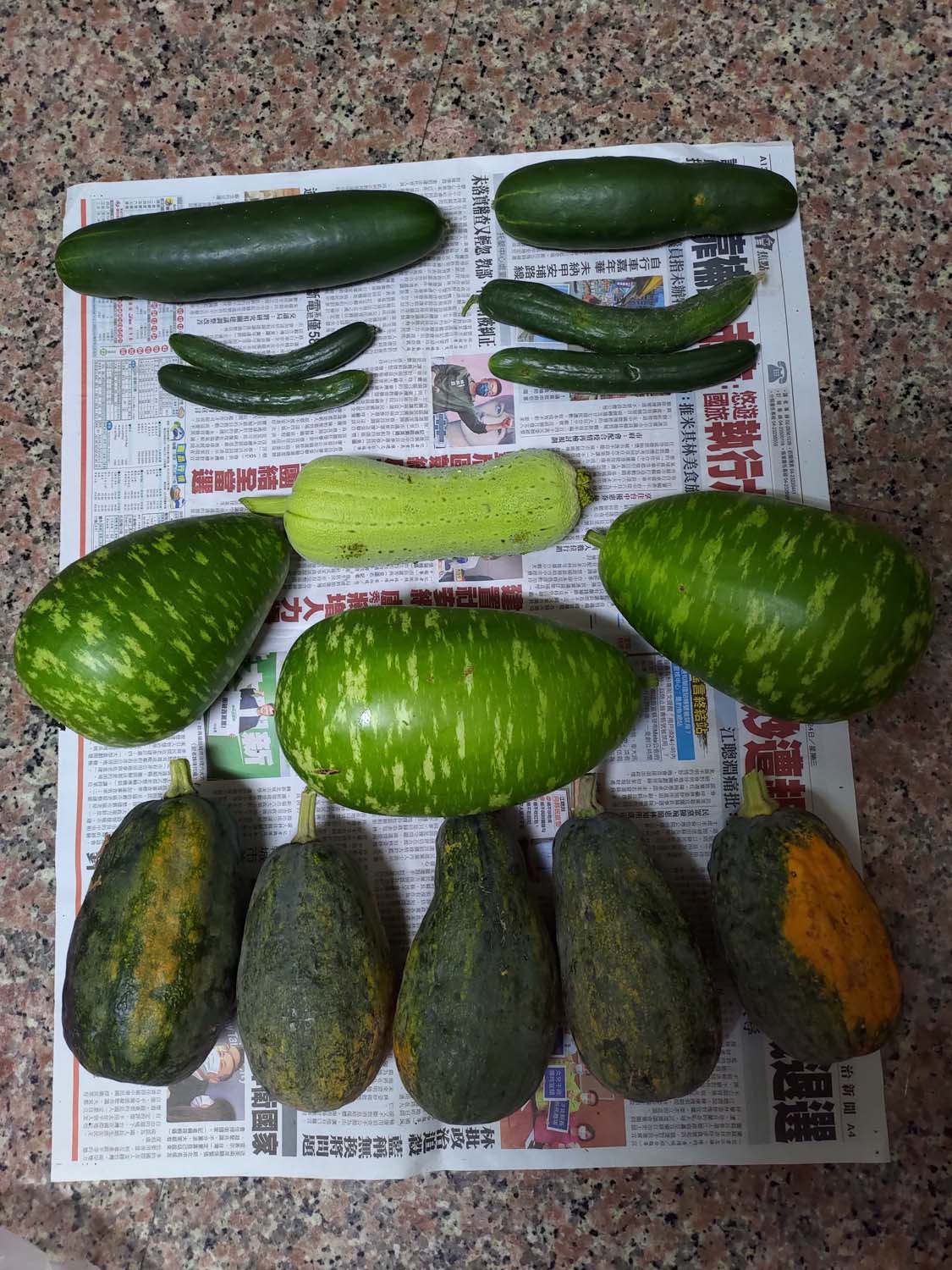 日常記錄┃2023全家手工採荔枝 共採100公斤 台湾農家ライチ大収穫祭 2024年ライチ狩り体験募集 - 第30張圖 日常記錄┃2023全家手工採荔枝 共採100公斤 台湾農家ライチ大収穫祭 2024年ライチ狩り体験募集