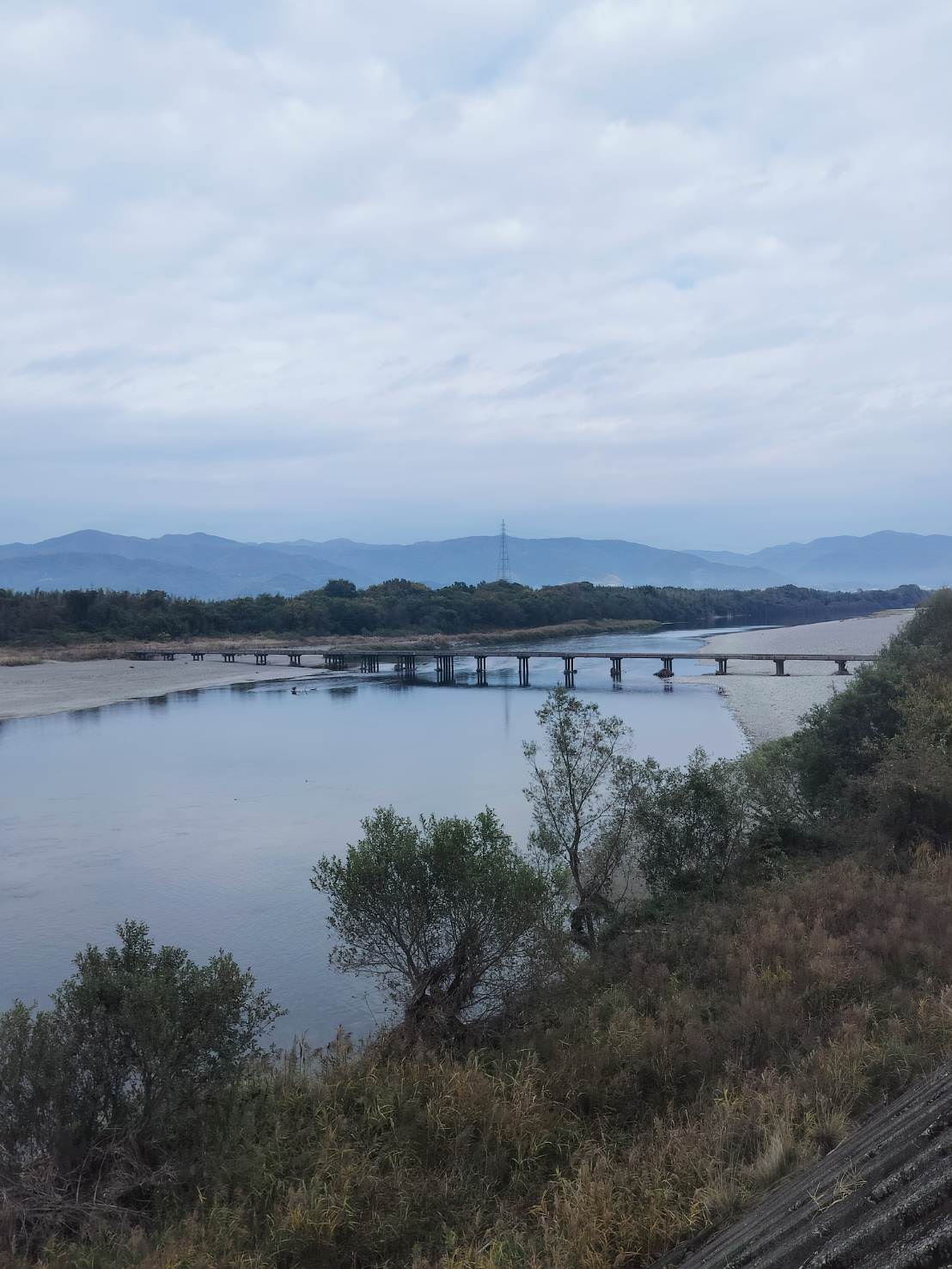 四國德島┃日本最大級河中島「吉野川-善入寺島」田園波斯菊向日葵開滿片 周邊「川島潛水橋」「岩之鼻展望台」絕美 - 第7張圖 四國德島┃日本最大級河中島「吉野川-善入寺島」田園波斯菊向日葵開滿片 周邊「川島潛水橋」「岩之鼻展望台」絕美