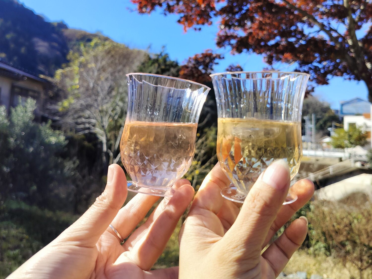 四國德島┃2023吉野川市「美鄉梅酒祭」JR阿波山川站接駁車五杯酒券四會場通用 烤肉關東煮 鄉村秋楓山景美醉 - 第12張圖 四國德島┃2023吉野川市「美鄉梅酒祭」JR阿波山川站接駁車五杯酒券四會場通用 烤肉關東煮 鄉村秋楓山景美醉