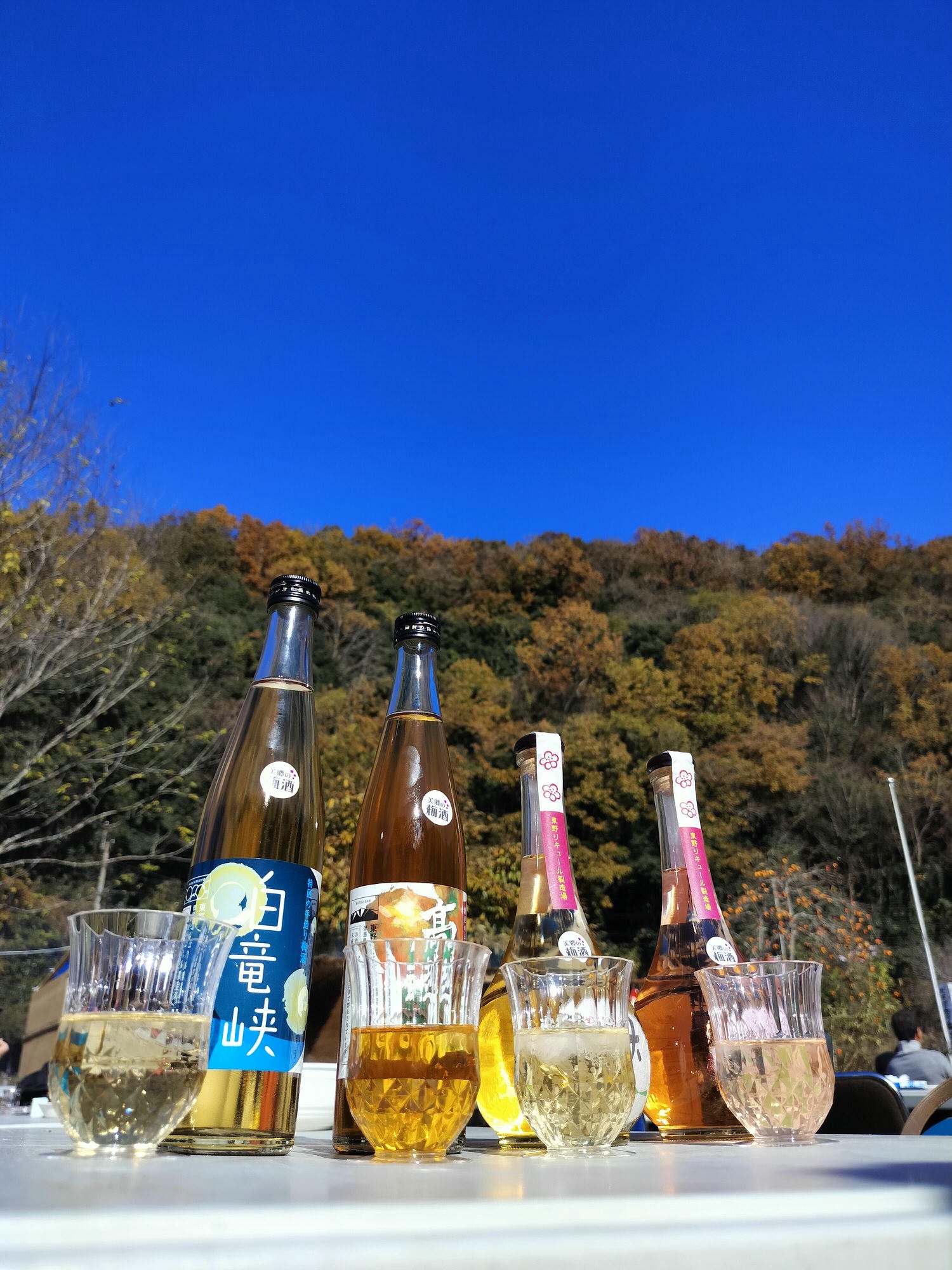 四國德島┃2023吉野川市「美鄉梅酒祭」JR阿波山川站接駁車五杯酒券四會場通用 烤肉關東煮 鄉村秋楓山景美醉 - 第10張圖 四國德島┃2023吉野川市「美鄉梅酒祭」JR阿波山川站接駁車五杯酒券四會場通用 烤肉關東煮 鄉村秋楓山景美醉