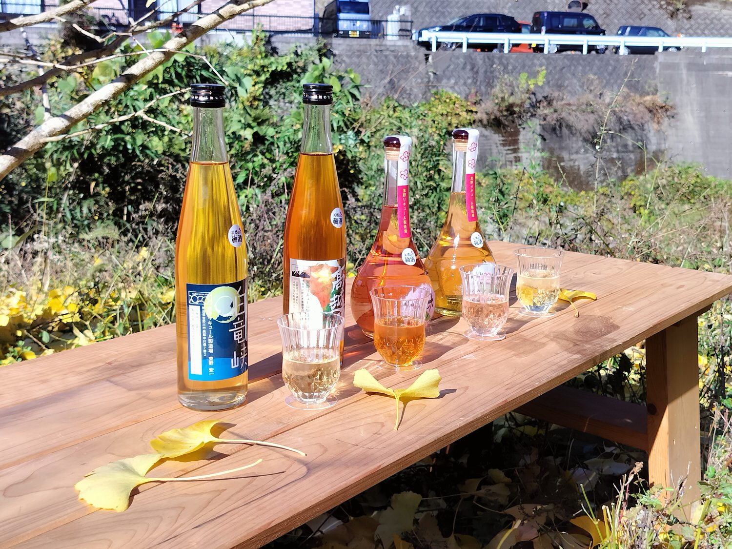 四國德島┃2023吉野川市「美鄉梅酒祭」JR阿波山川站接駁車五杯酒券四會場通用 烤肉關東煮 鄉村秋楓山景美醉 - 第13張圖 四國德島┃2023吉野川市「美鄉梅酒祭」JR阿波山川站接駁車五杯酒券四會場通用 烤肉關東煮 鄉村秋楓山景美醉