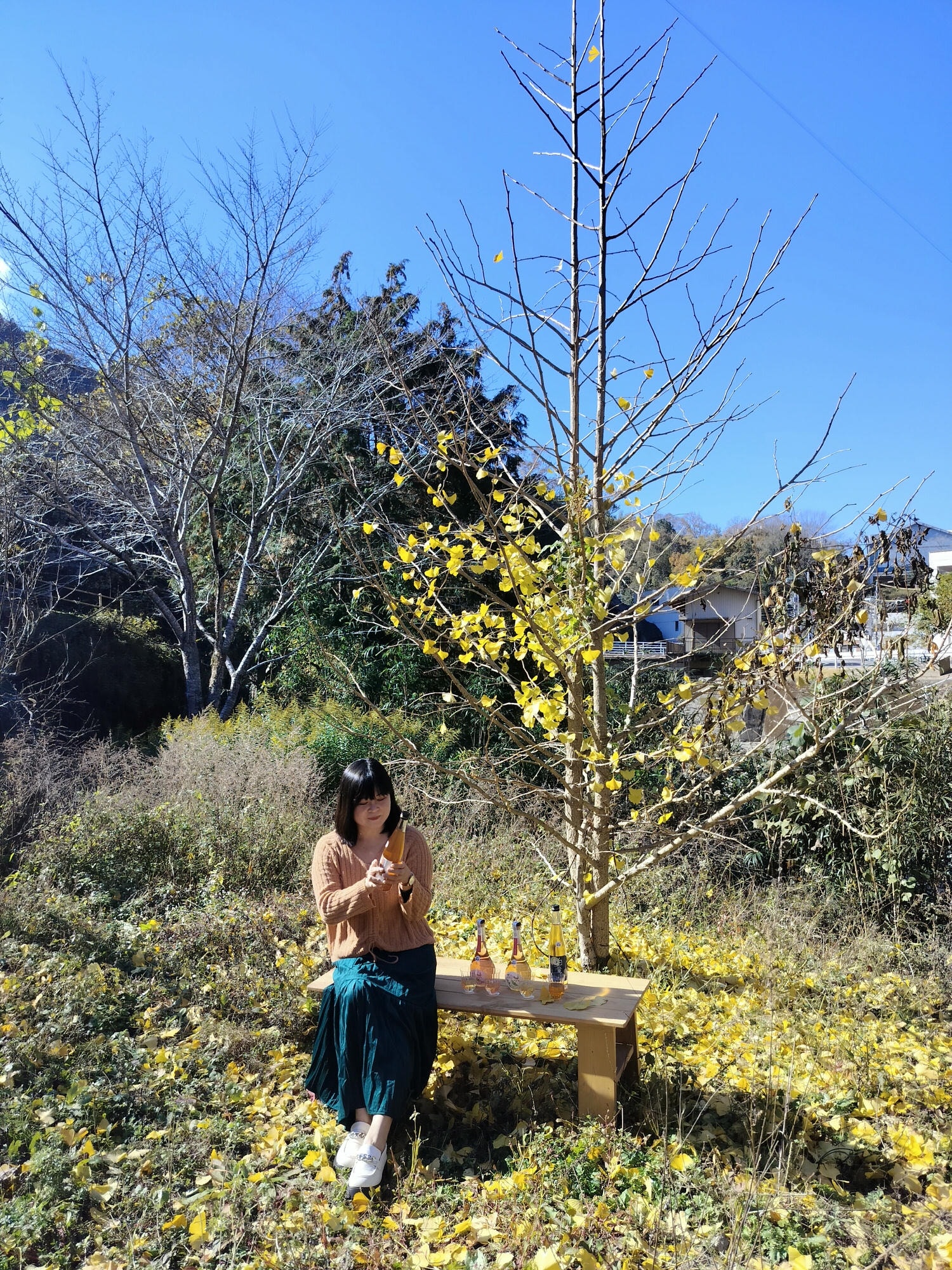 四國德島┃2023吉野川市「美鄉梅酒祭」JR阿波山川站接駁車五杯酒券四會場通用 烤肉關東煮 鄉村秋楓山景美醉 - 第11張圖 四國德島┃2023吉野川市「美鄉梅酒祭」JR阿波山川站接駁車五杯酒券四會場通用 烤肉關東煮 鄉村秋楓山景美醉